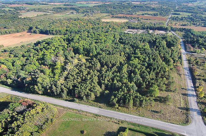 Photo 5 of 6055 5th Line, New Tecumseth, Rural New Tecumseth — HOMEH