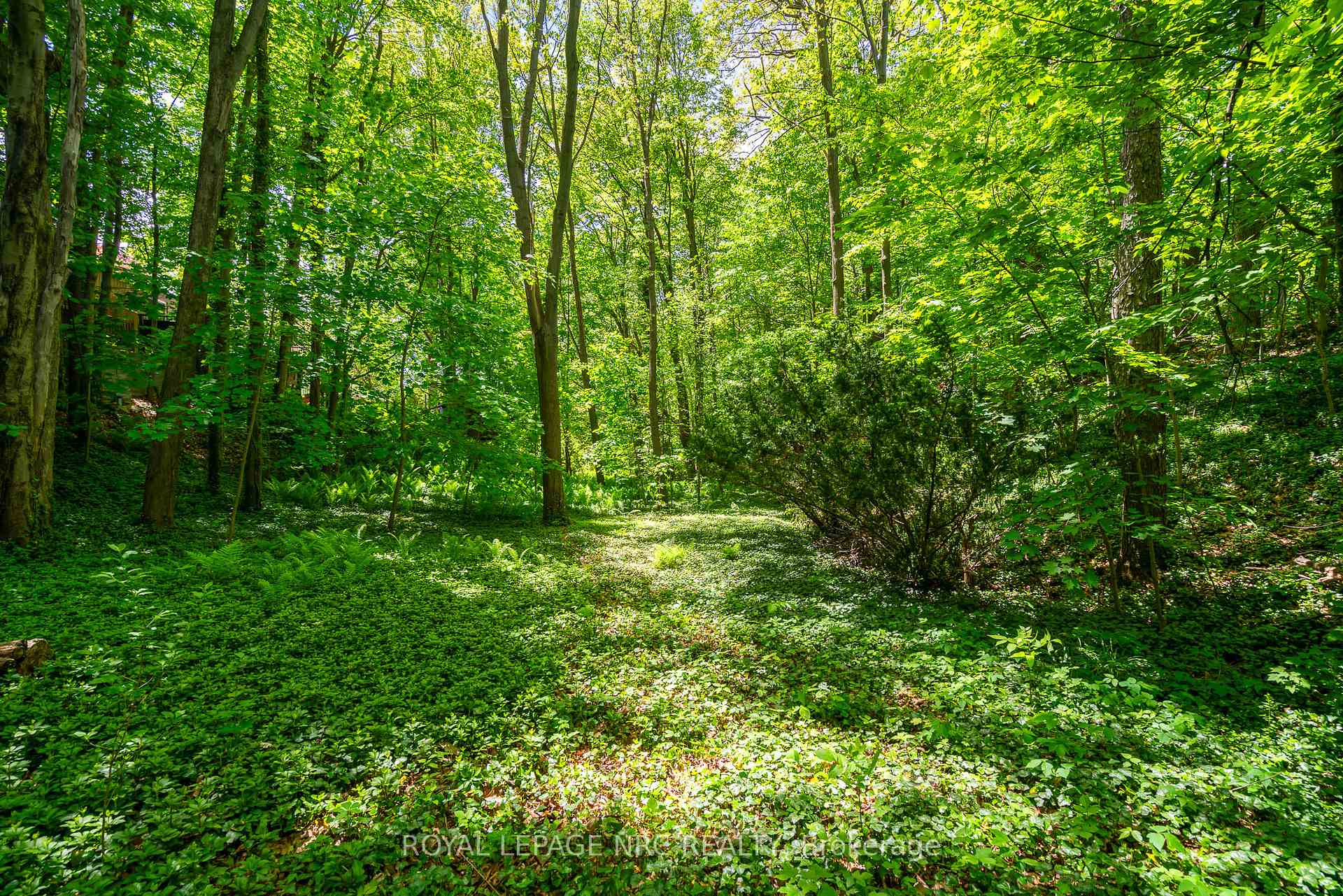 Photo 33 of 26 Cherry Avenue, Pelham, Fonthill — HOMEH