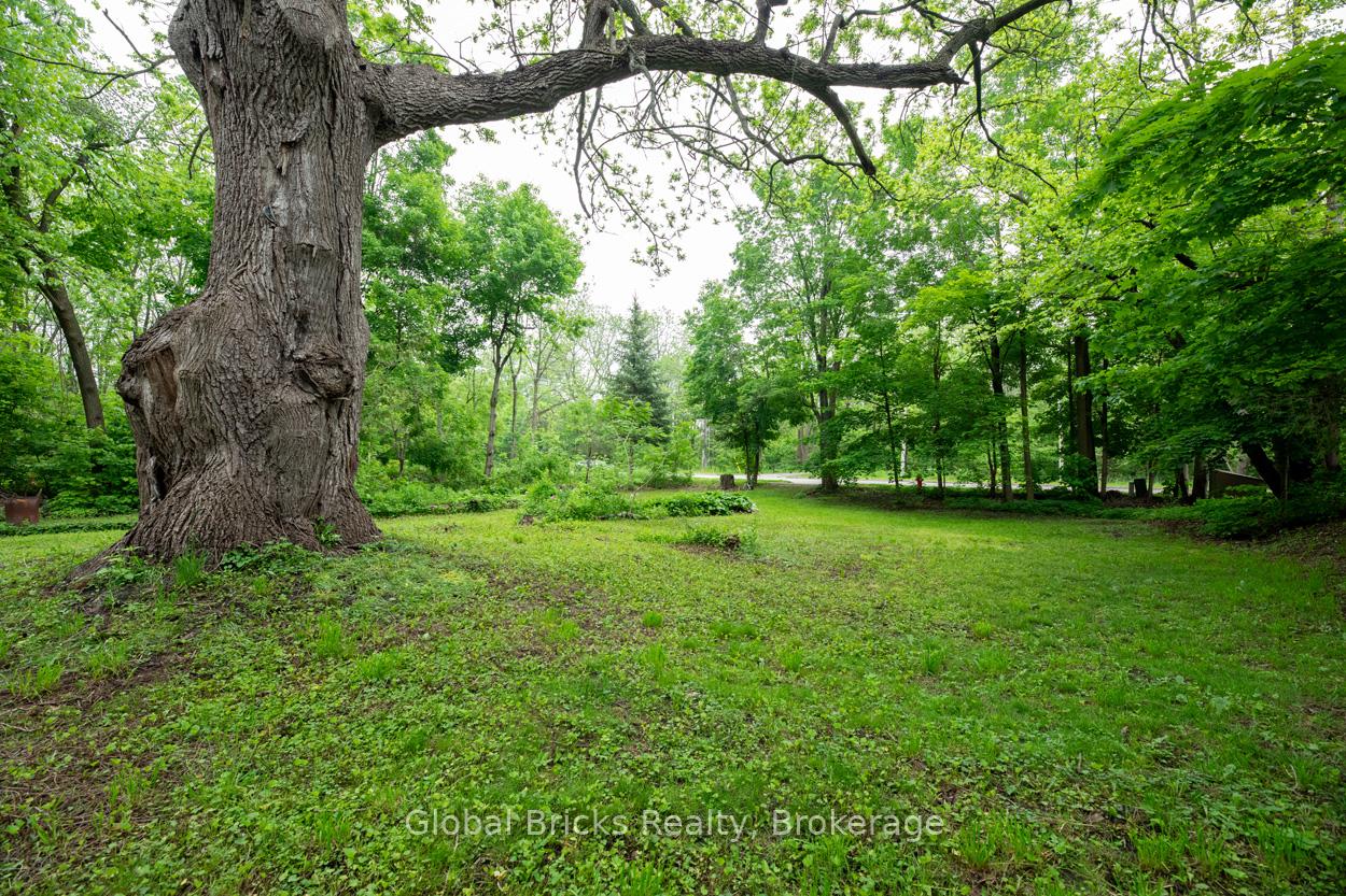 Photo 1 of 198 Borland Street E, Orillia — HOMEH
