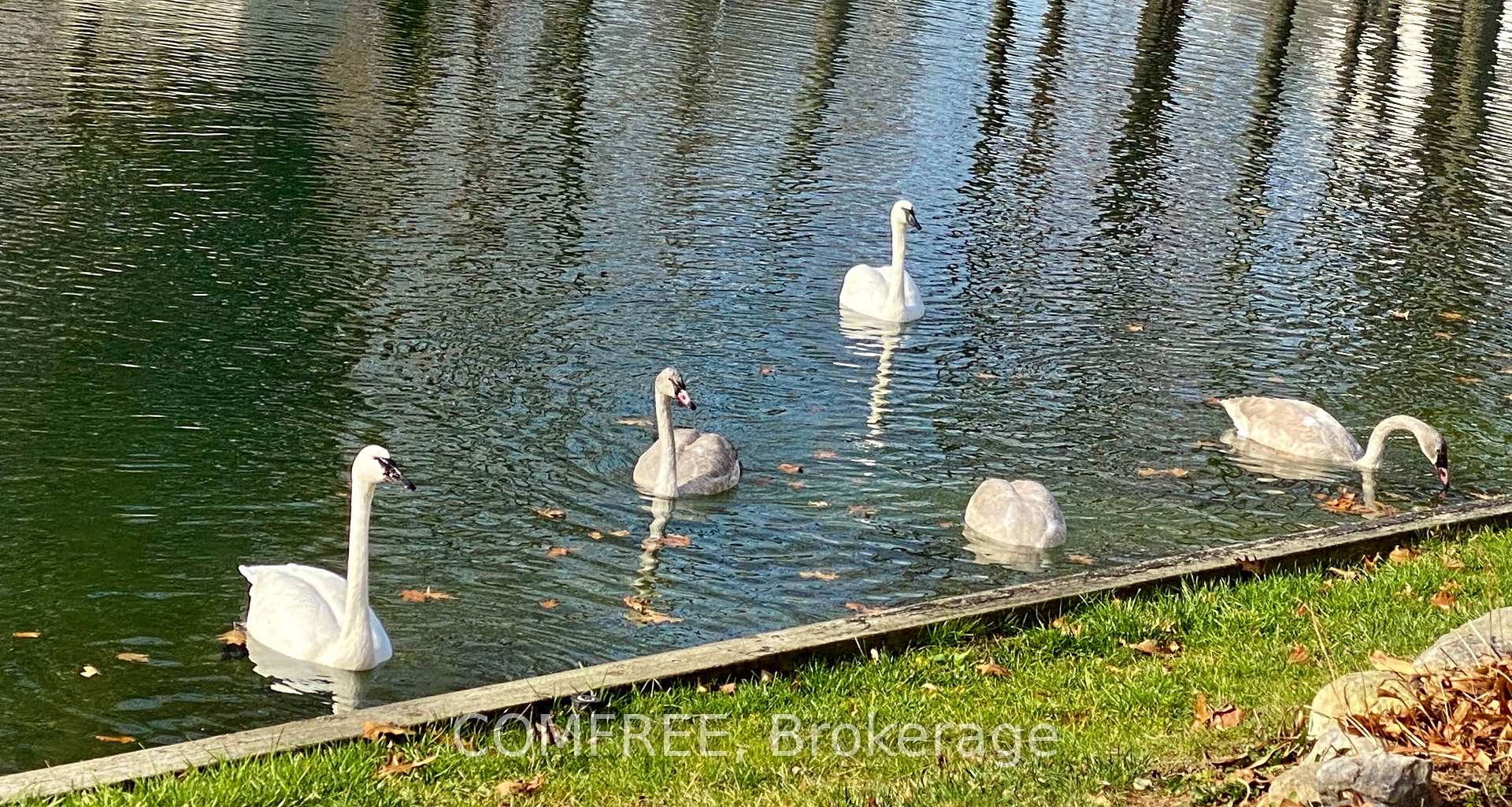 Photo 37 of 684 Glen Crescent, Orillia — HOMEH