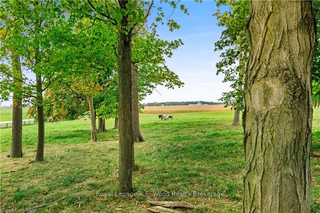 Photo 12 of 285585 Airport Road, Norwich, Rural Norwich — HOMEH