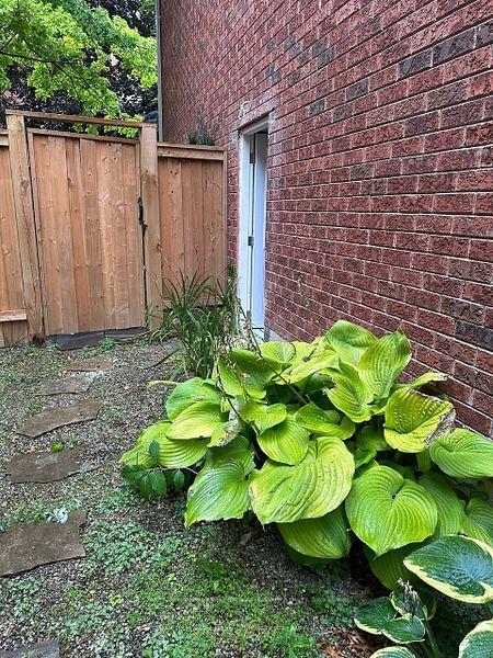 Photo 2 of Unit BSMT, 462 Hewitt Circle, Newmarket, Summerhill Estates — HOMEH