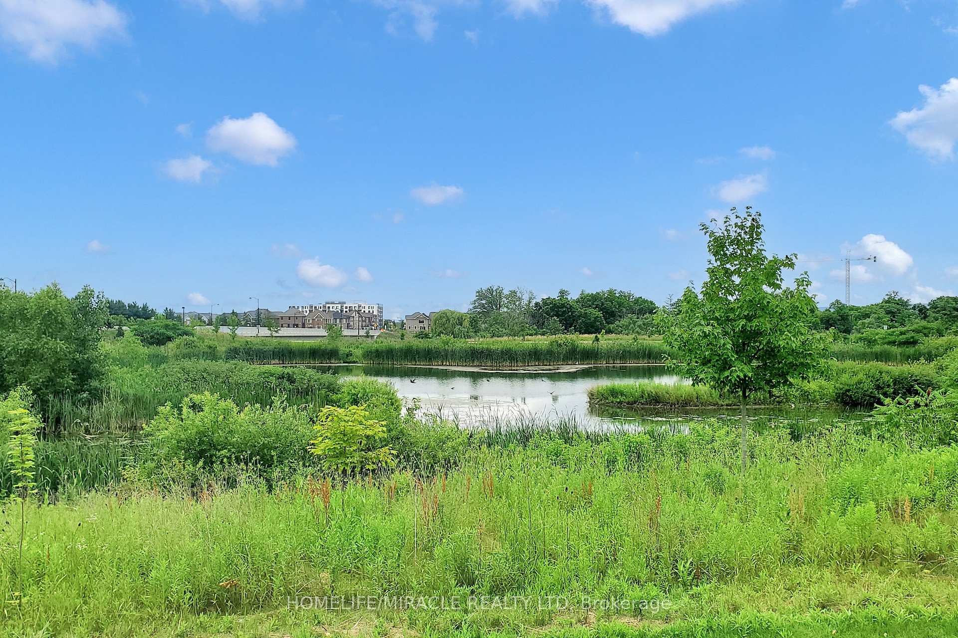 Photo 44 of 119 Yates Drive, Milton, Cobban — HOMEH