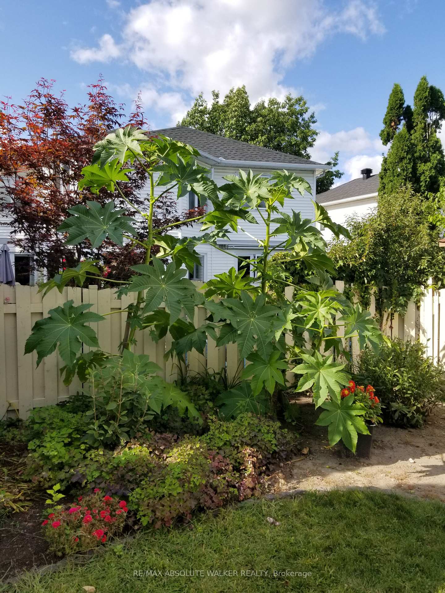 Photo 45 of 763 Montcrest Drive, Ottawa, Fallingbrook/Ridgemount — HOMEH