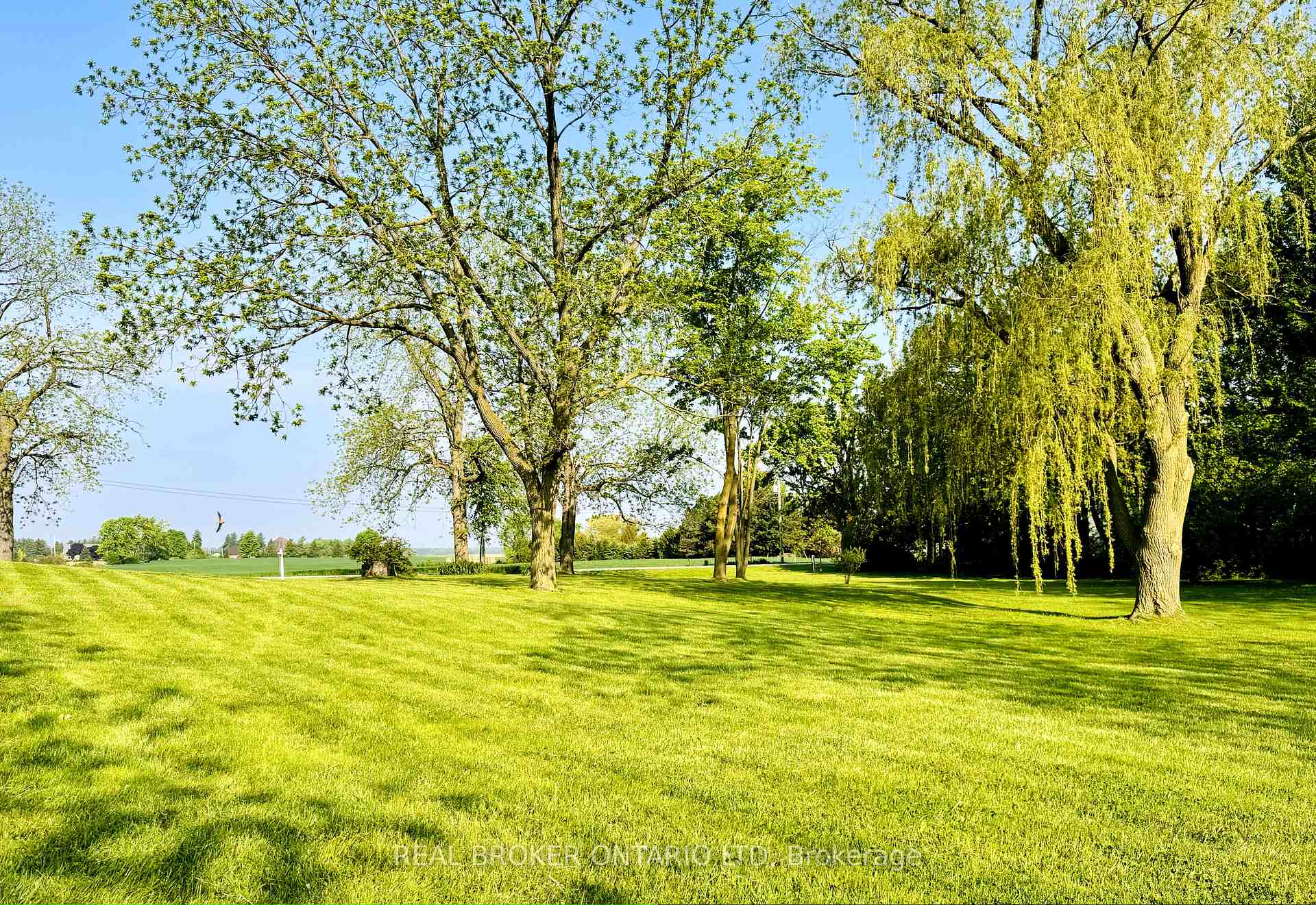 Photo 35 of 34684 Lieury Road, North Middlesex, Rural North Middlesex — HOMEH