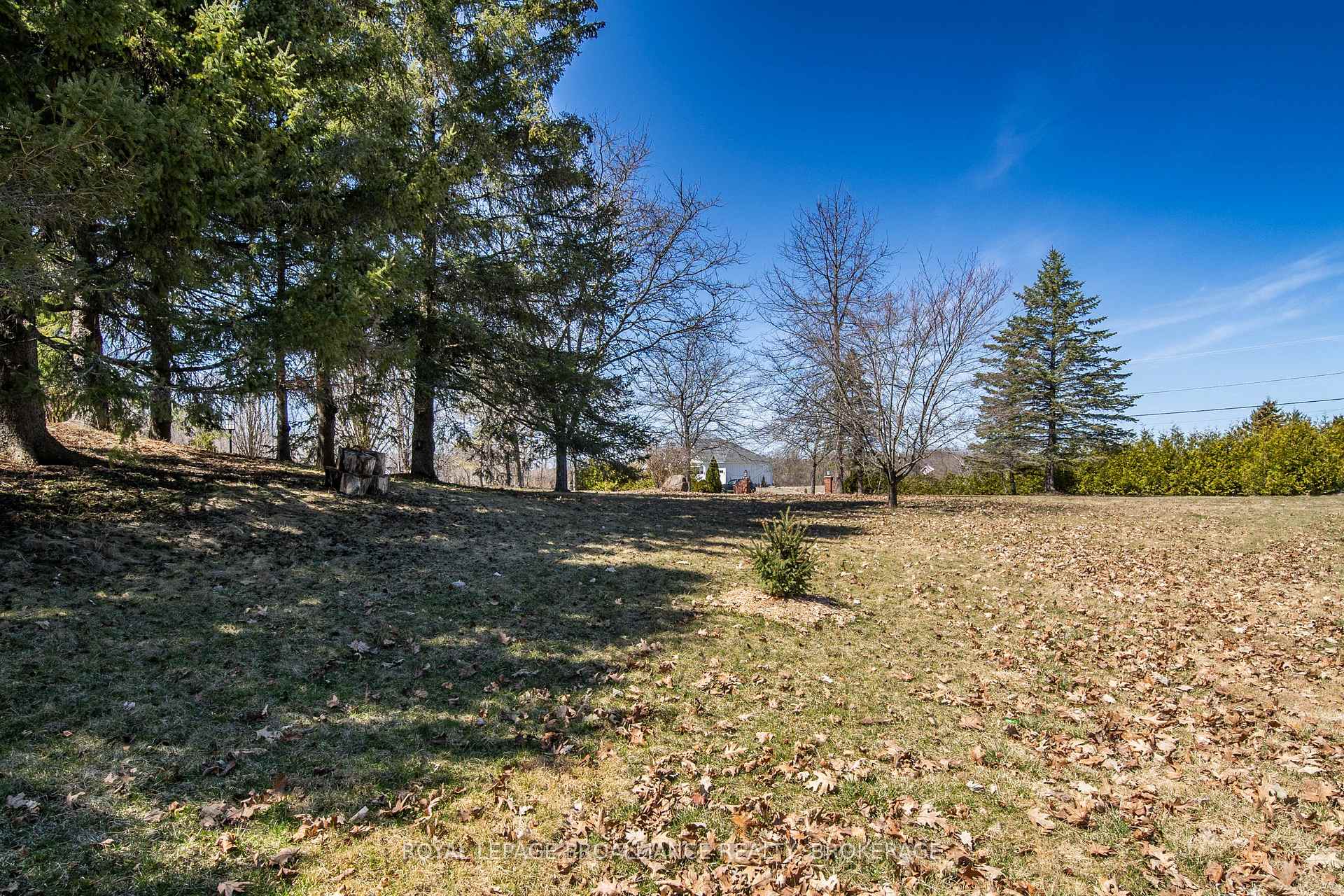 Photo 40 of 491 Maple Lawn Drive, Kingston, City North of 401 — HOMEH