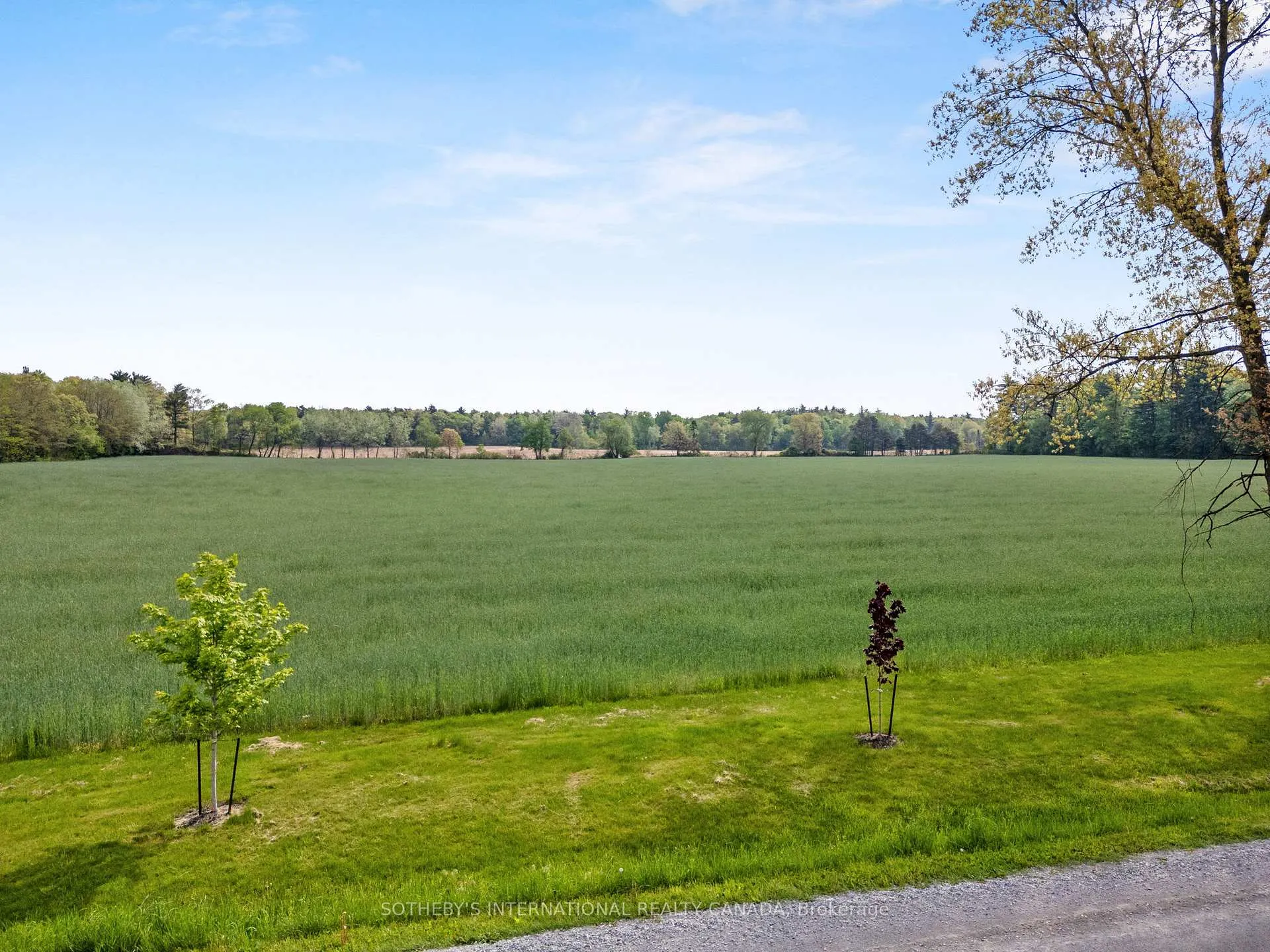 Photo 8 of Turkey Point Road, Norfolk, Rural Charlotteville — HOMEH