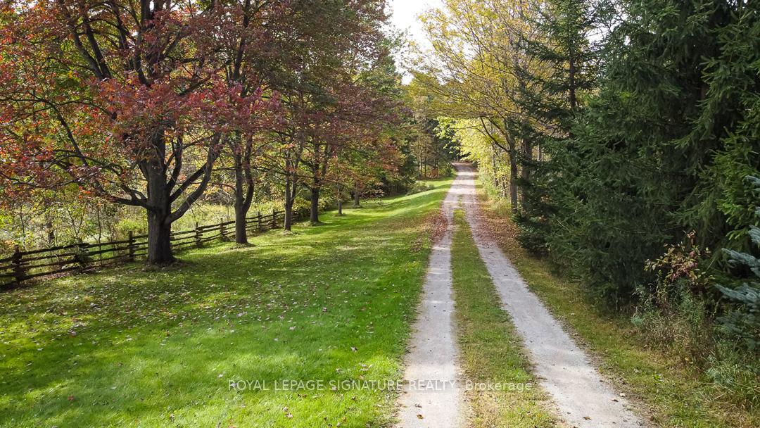 Photo 38 of 8268 Canyon Road, Milton, Rural Milton West — HOMEH