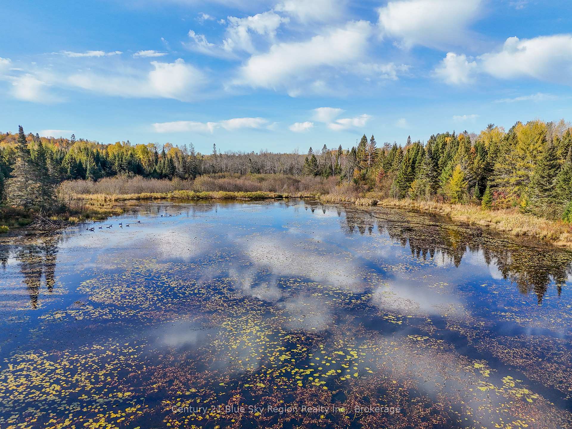 Photo 5 of 6845 Highway 63, North Bay, Birchaven — HOMEH
