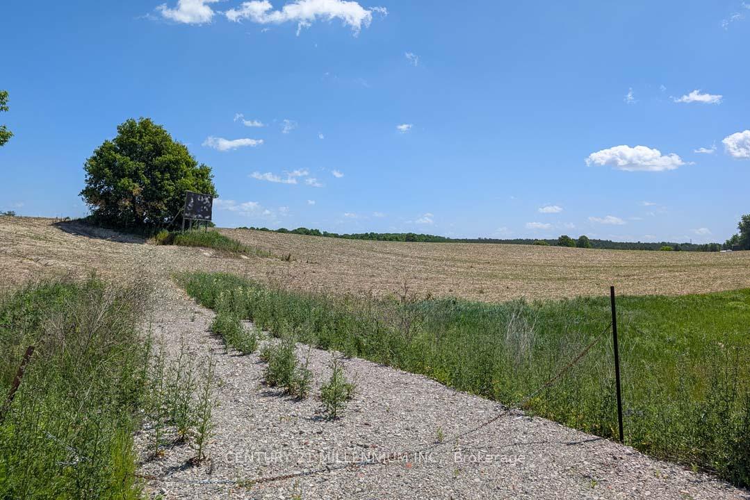 Photo 9 of 1431 Tottenham Road, New Tecumseth, Rural New Tecumseth — HOMEH