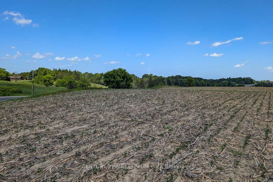Photo 6 of 1489 Tottenham Road, New Tecumseth, Rural New Tecumseth — HOMEH