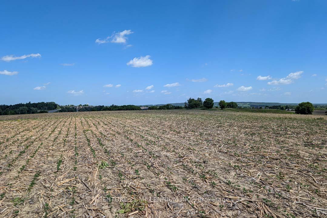 Photo 7 of 1489 Tottenham Road, New Tecumseth, Rural New Tecumseth — HOMEH