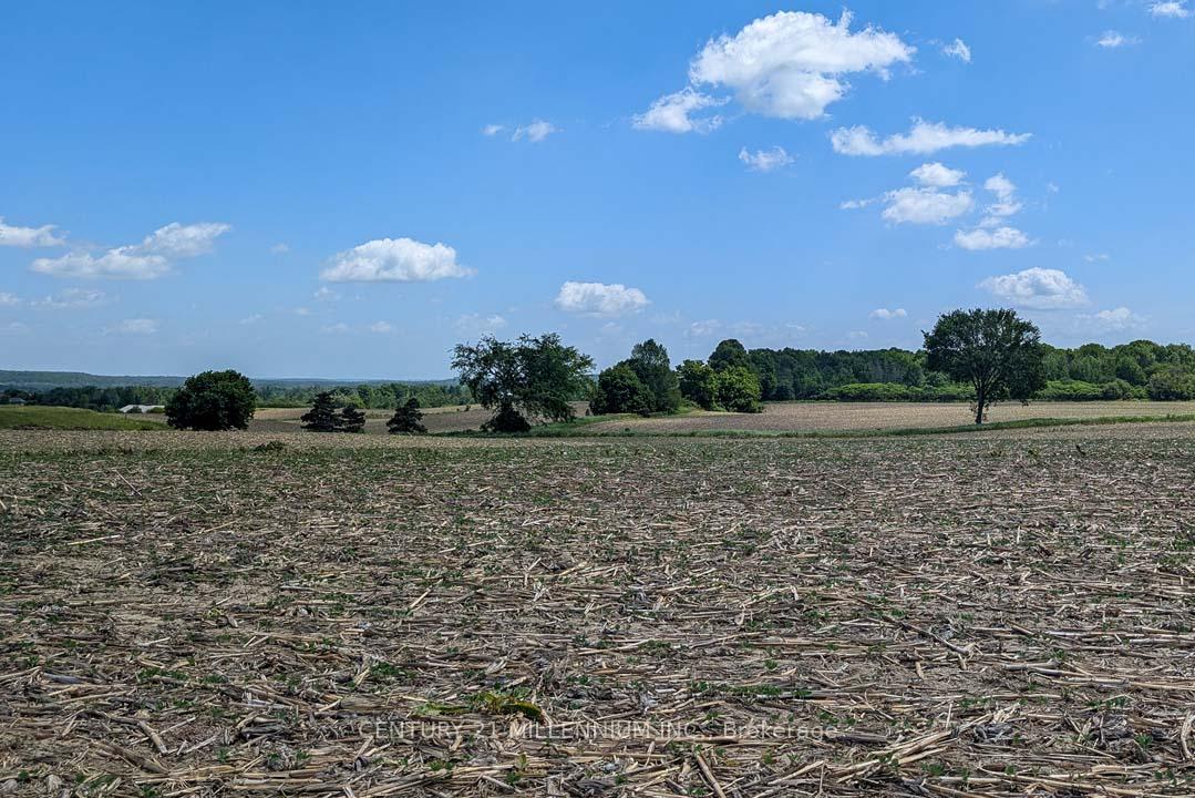 Photo 8 of 1489 Tottenham Road, New Tecumseth, Rural New Tecumseth — HOMEH
