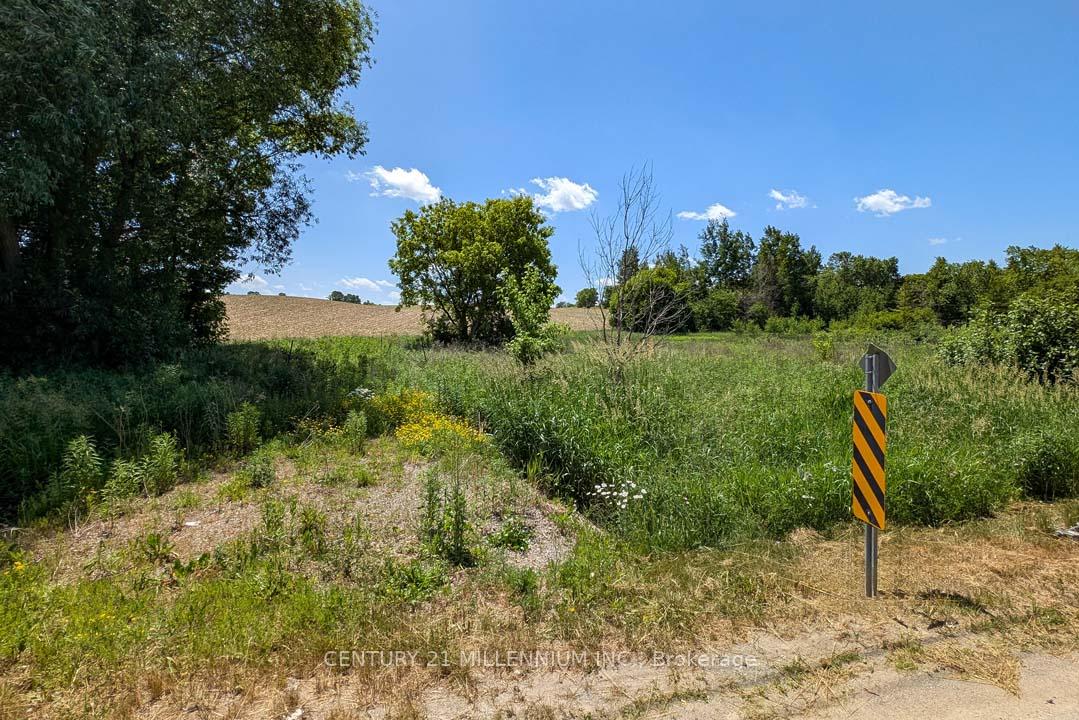 Photo 4 of 6625 3rd Line, New Tecumseth, Rural New Tecumseth — HOMEH