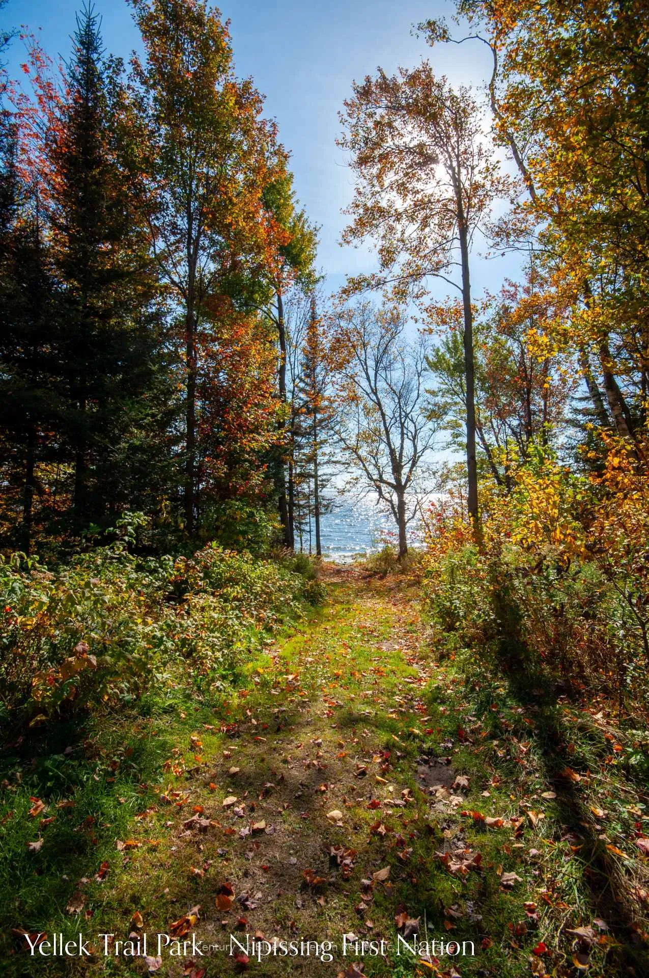 Photo 35 of 202 Yellek Trail, North Bay, Jocko Point / Beaucage — HOMEH