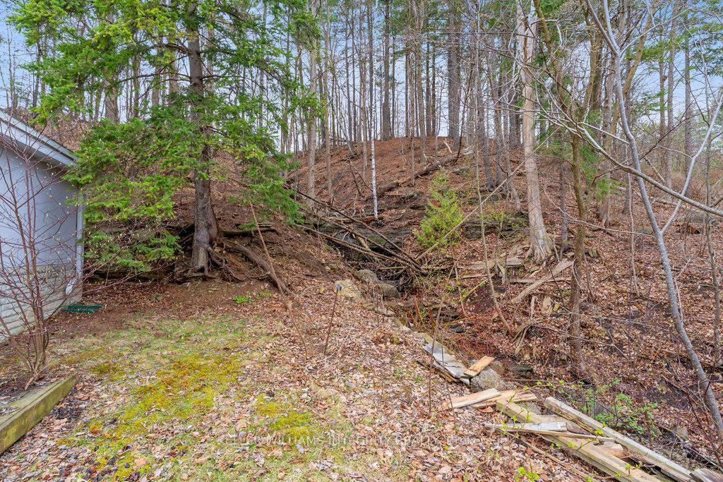 Photo 6 of 3722 St Joseph Boulevard, Ottawa, Fallingbrook/Ridgemount — HOMEH