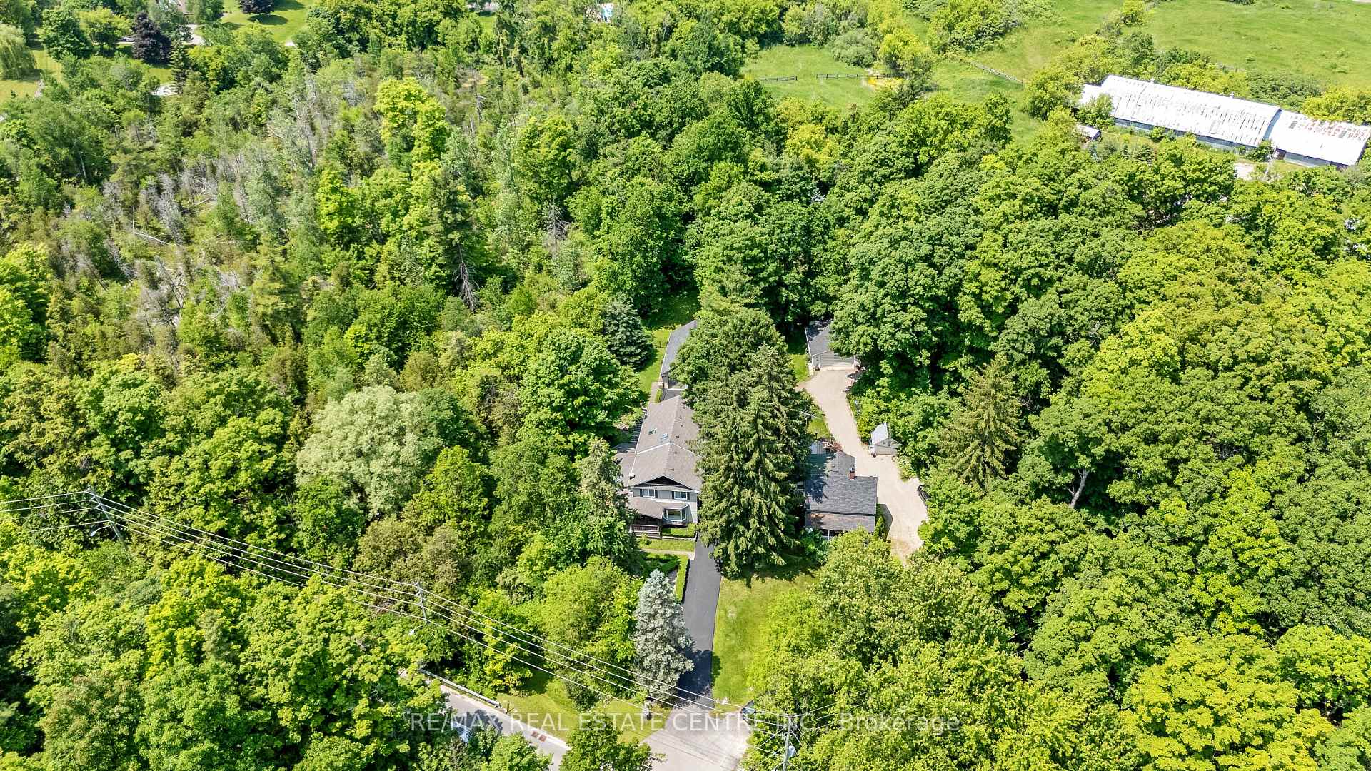 Photo 8 of 209 Campbell Avenue E, Milton, Campbellville — HOMEH