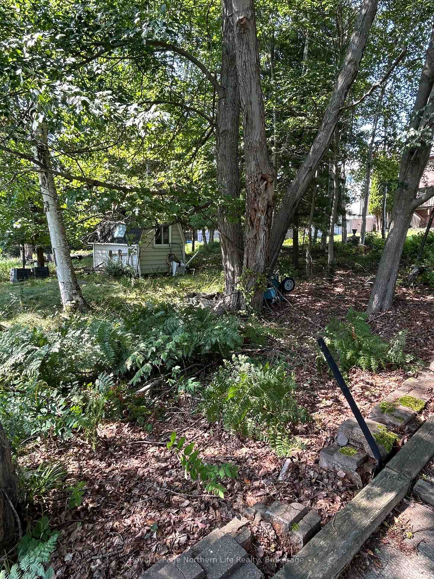 Photo 1 of 27 Killare Street, North Bay, Birchaven — HOMEH