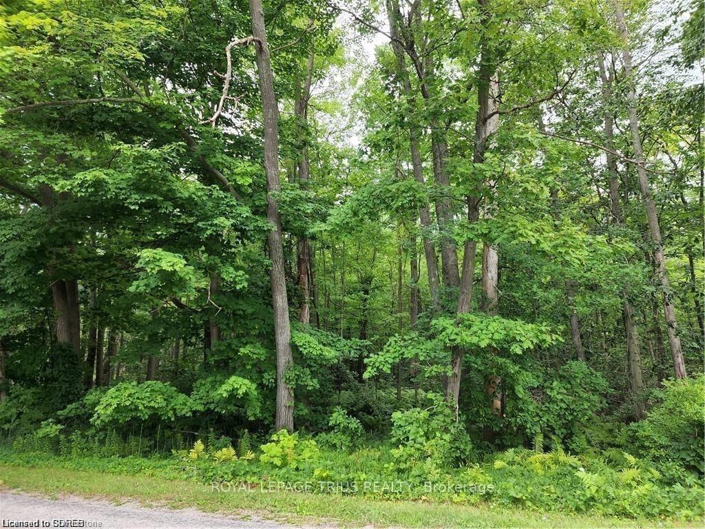Photo 1 of PTLT 20 7th Concession, Norfolk, Rural Charlotteville — HOMEH