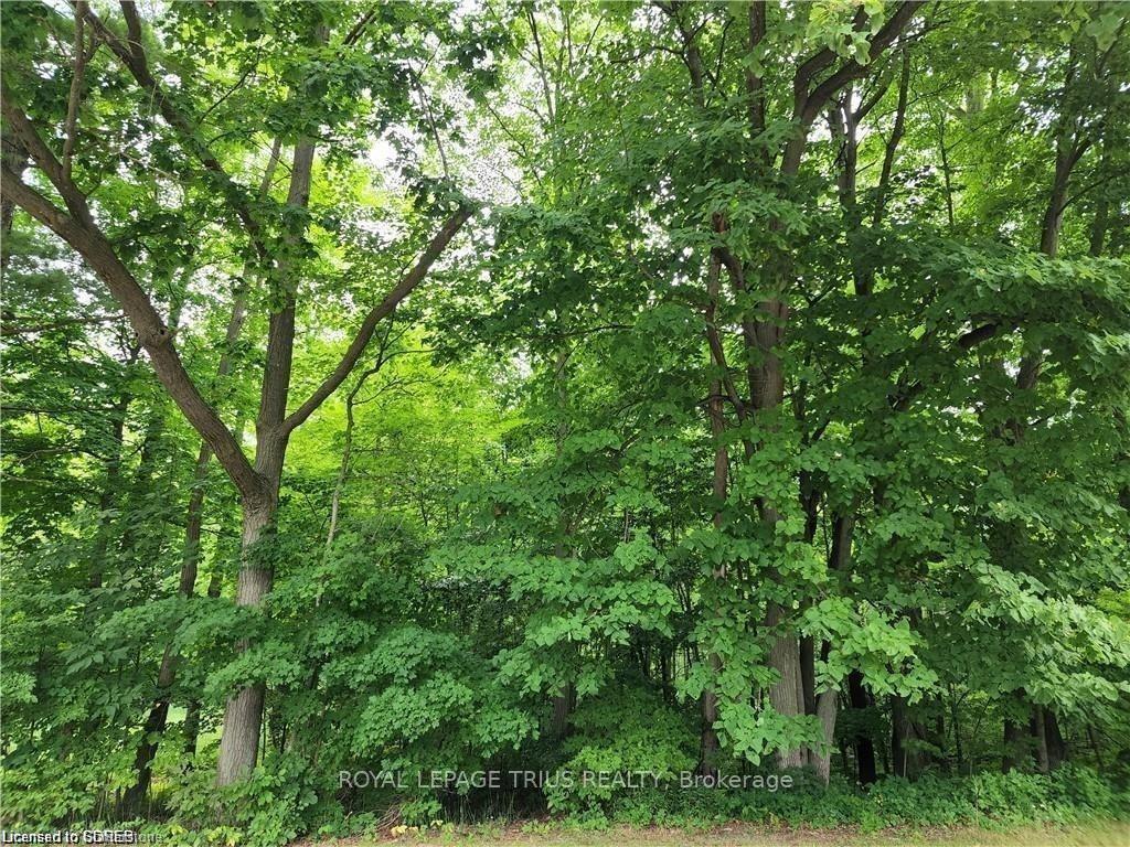 Photo 2 of PTLT 20 7th Concession, Norfolk, Rural Charlotteville — HOMEH