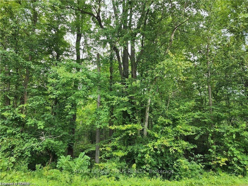 Photo 3 of PTLT 20 7th Concession, Norfolk, Rural Charlotteville — HOMEH