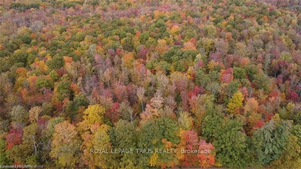 Photo 5 of PTLT 20 7th Concession, Norfolk, Rural Charlotteville — HOMEH