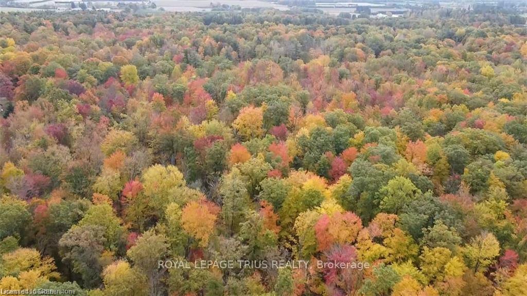 Photo 6 of PTLT 20 7th Concession, Norfolk, Rural Charlotteville — HOMEH