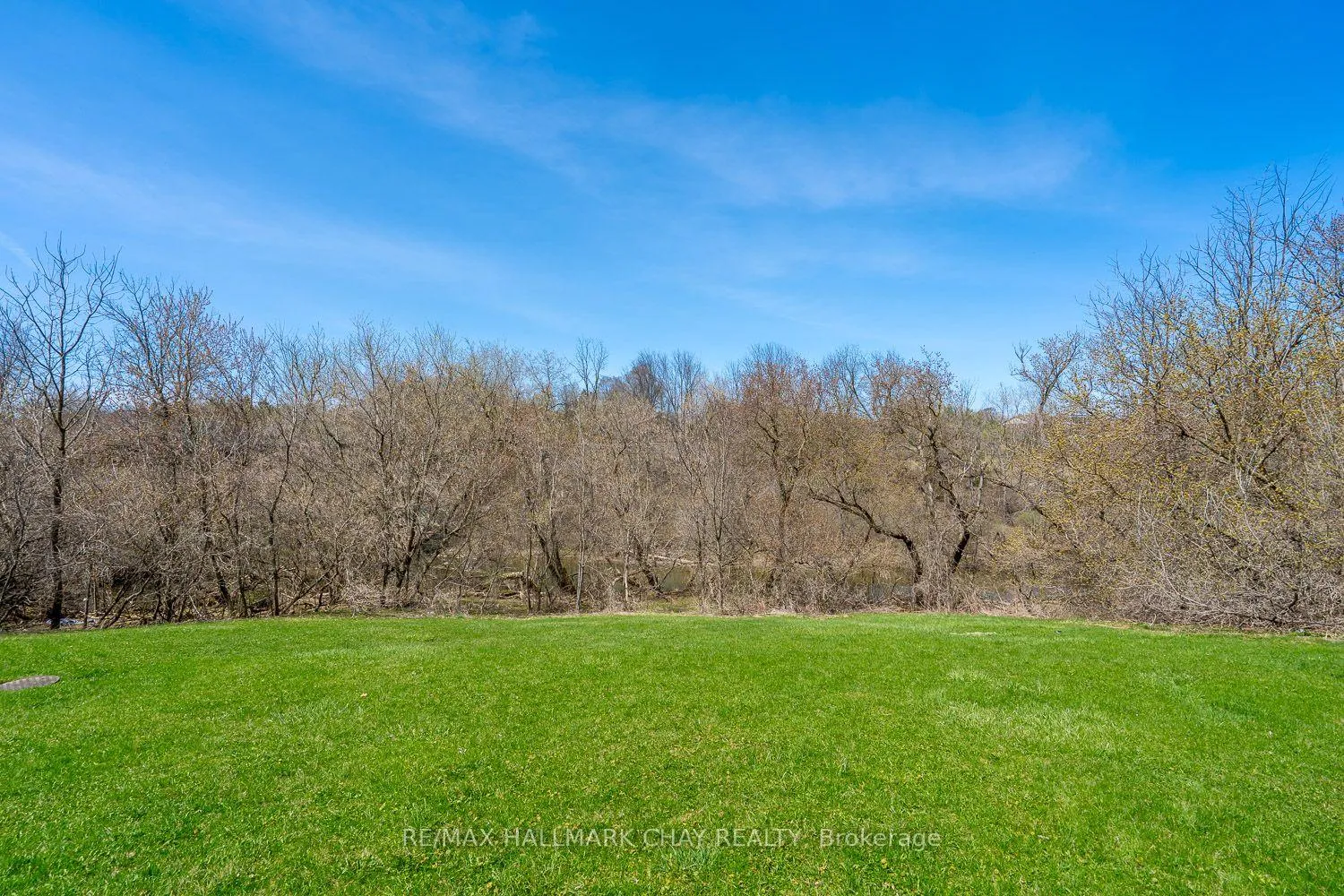 Photo 46 of 44 Queen Street, New Tecumseth, Alliston — HOMEH