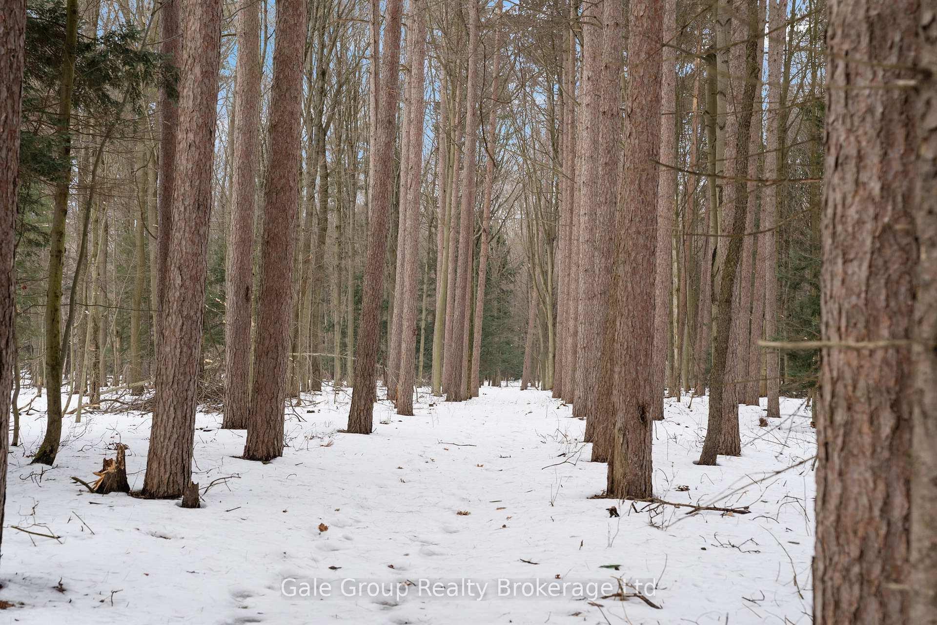 Photo 45 of 1293 North Road, Norfolk, Rural Houghton — HOMEH