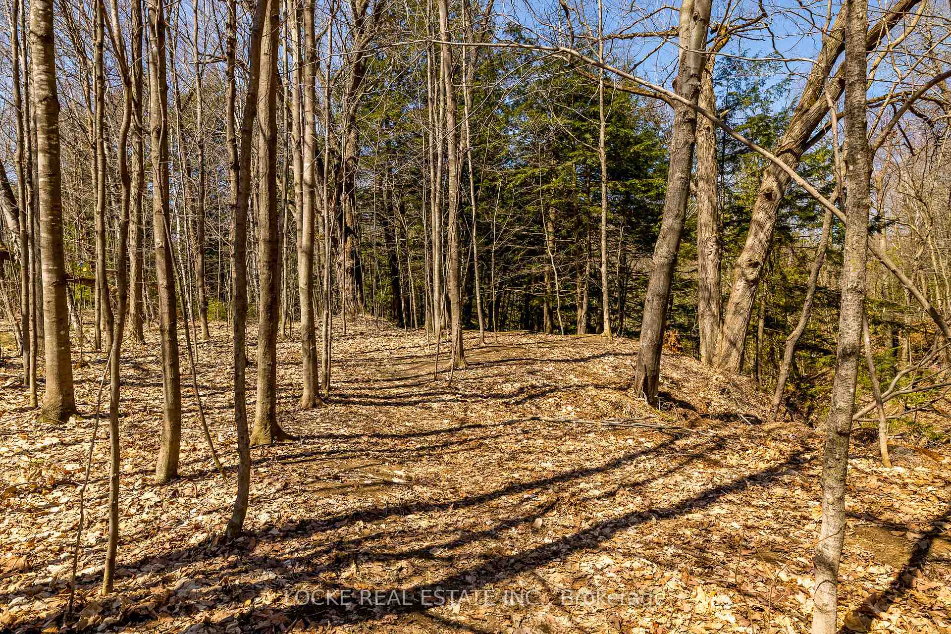 Photo 38 of 6076 Ridgelea Place, Ottawa, Chapel Hill — HOMEH