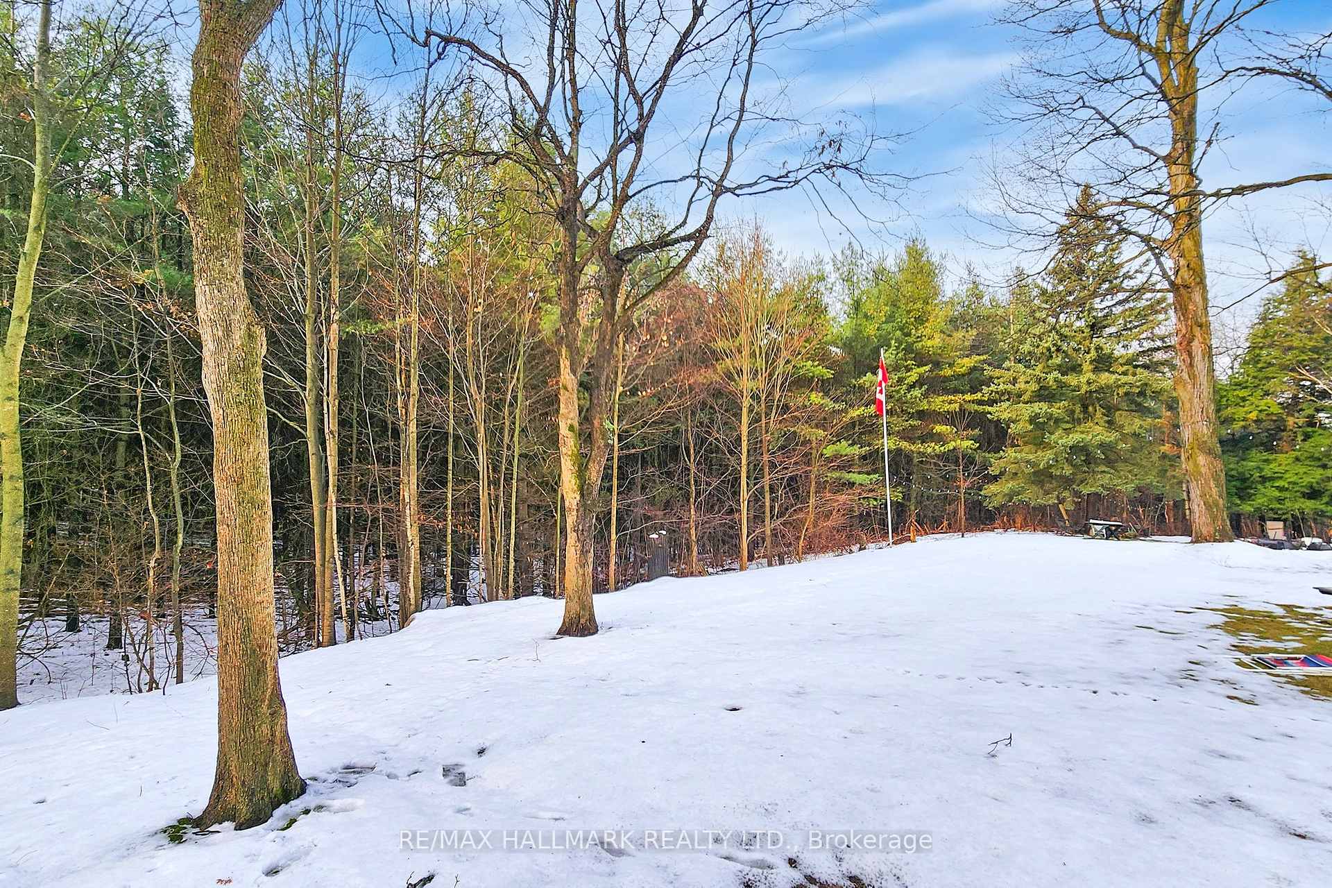 Photo 38 of 5545 Wesson Road, New Tecumseth, Rural New Tecumseth — HOMEH