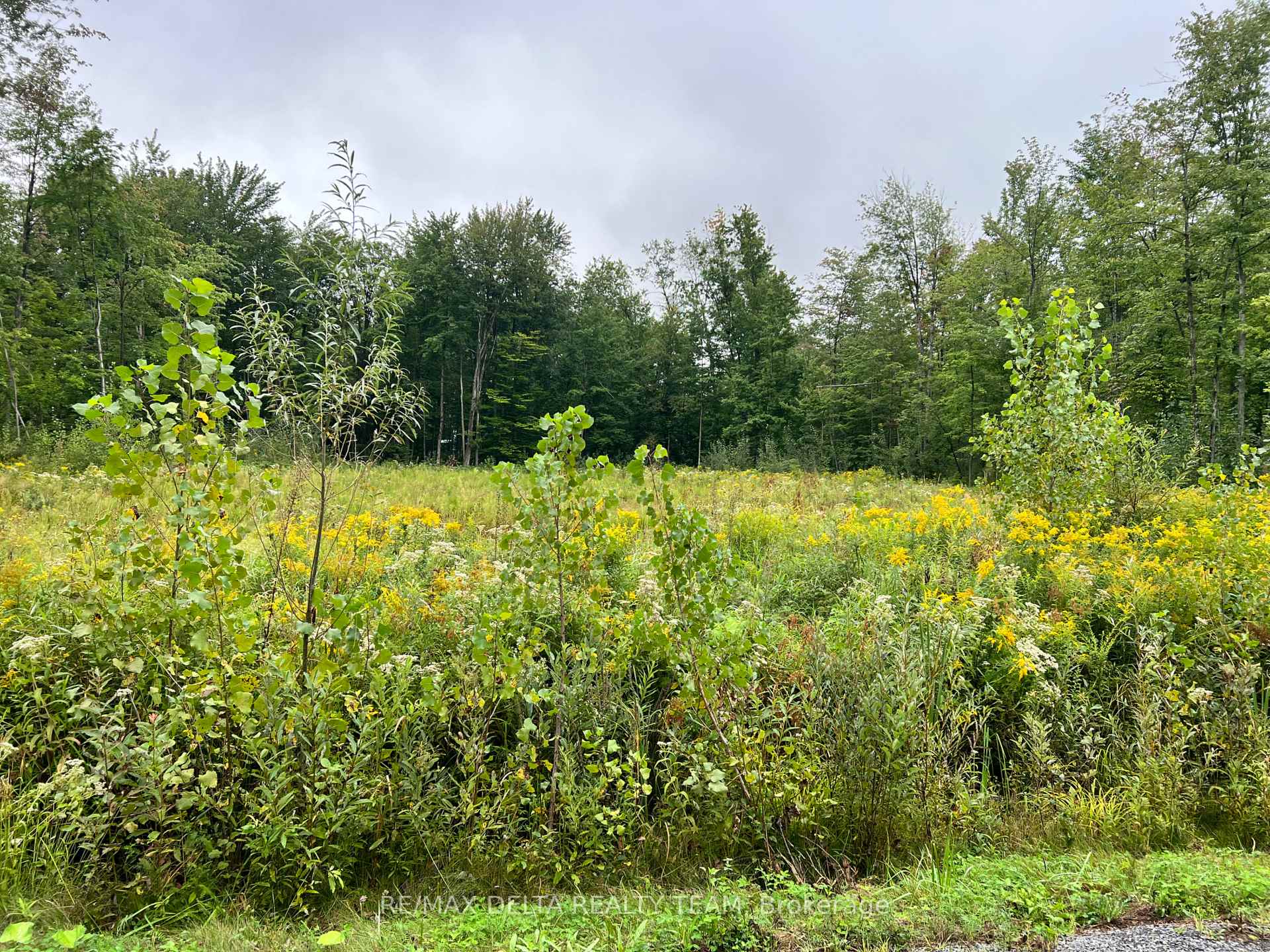 Photo 6 of 1610 Kinsella Drive, Ottawa, Cumberland Estates — HOMEH
