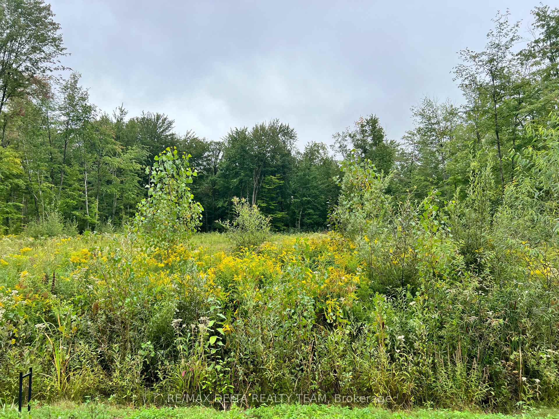 Photo 7 of 1610 Kinsella Drive, Ottawa, Cumberland Estates — HOMEH
