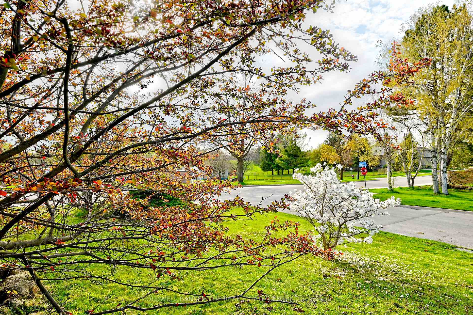 Photo 2 of 940 Wildwood Drive, Newmarket, Gorham-College Manor — HOMEH