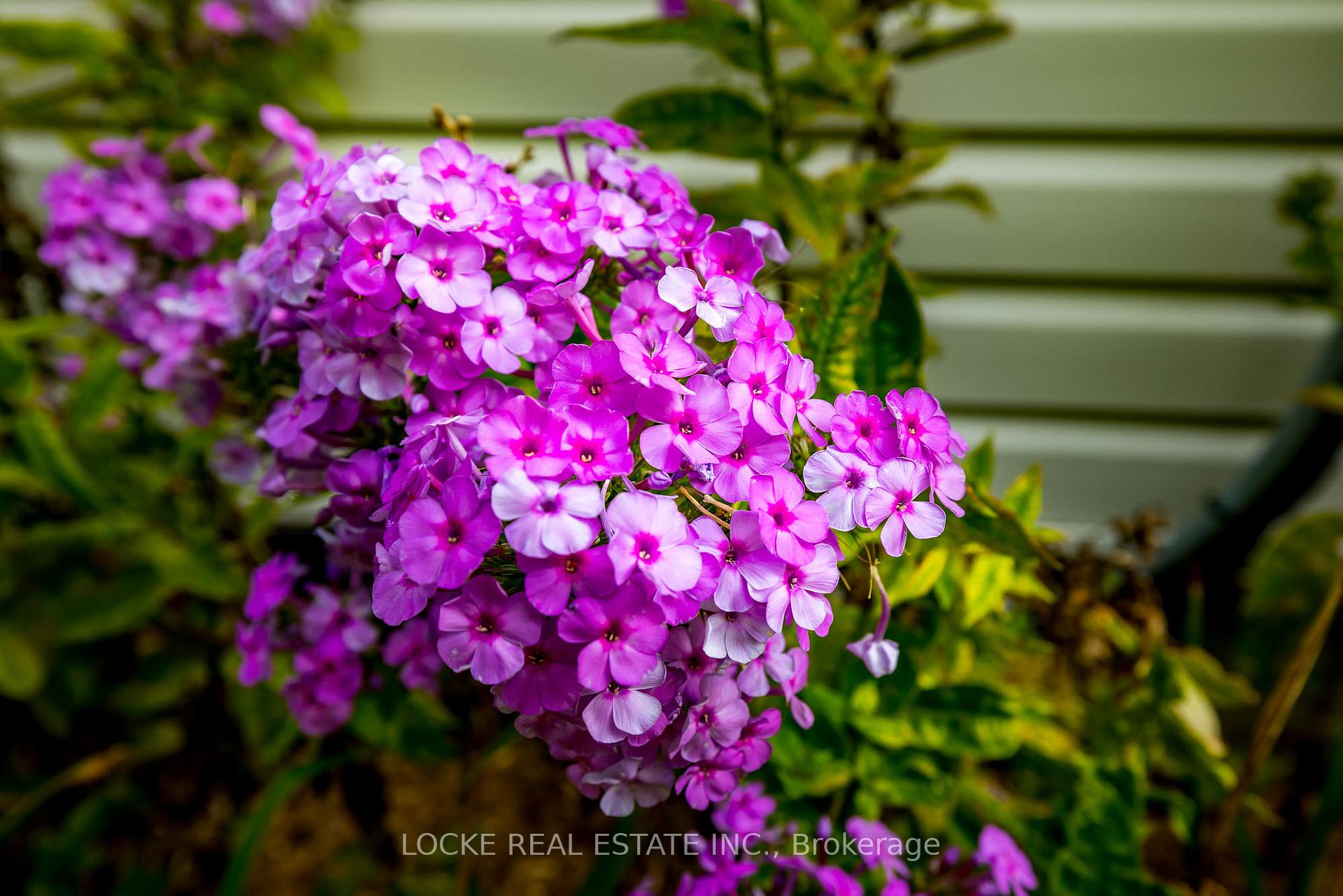 Photo 38 of 106 Parkrose Private, Ottawa, Chatelaine Village — HOMEH
