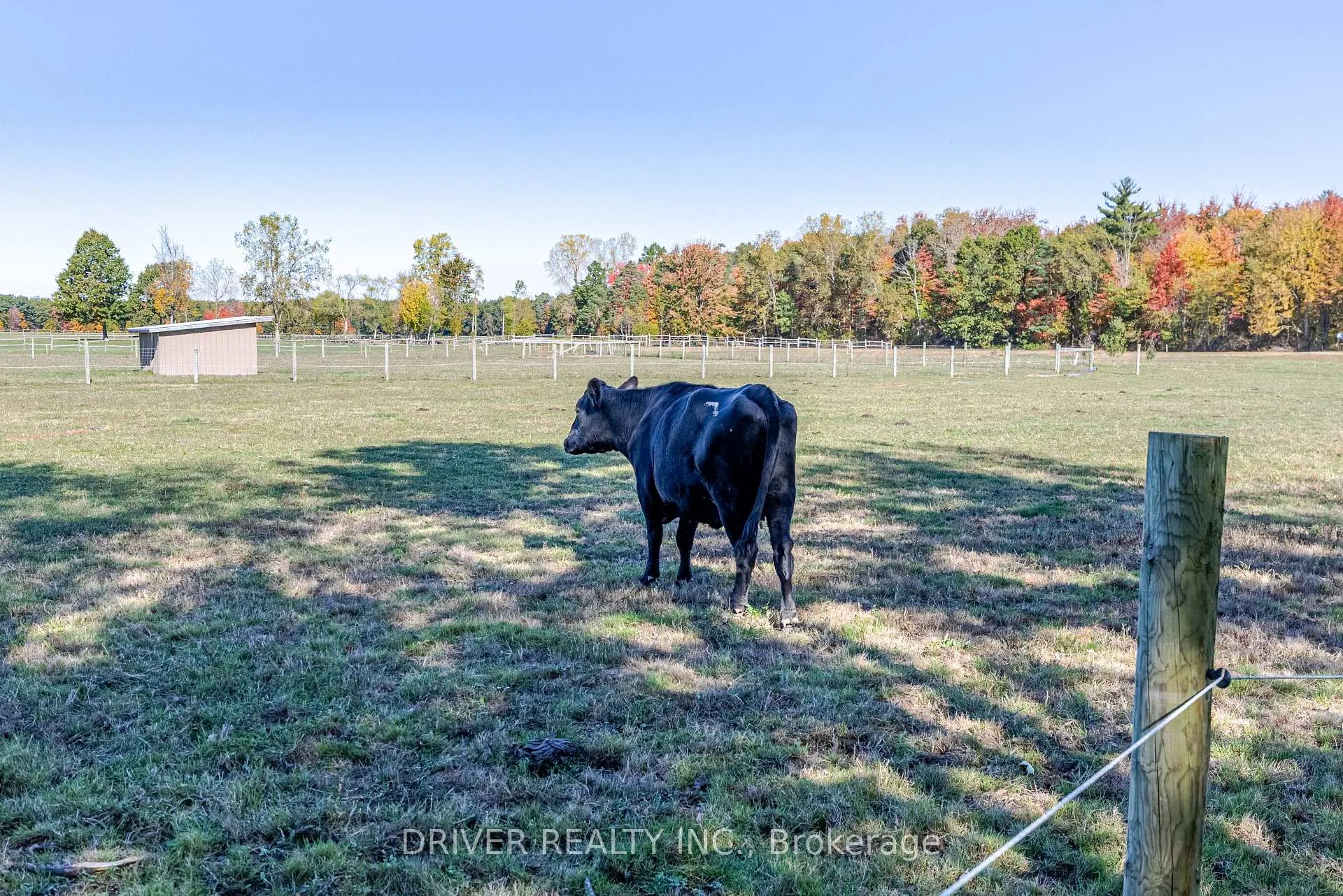 Photo 9 of 1726 4th CONCESSION Road, Norfolk, St. Williams — HOMEH