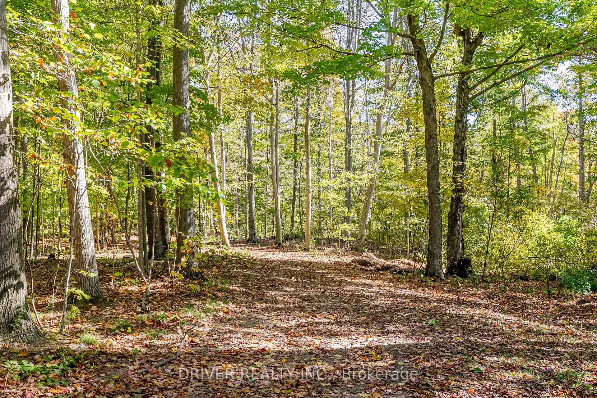 Photo 11 of 1726 4th CONCESSION Road, Norfolk, St. Williams — HOMEH