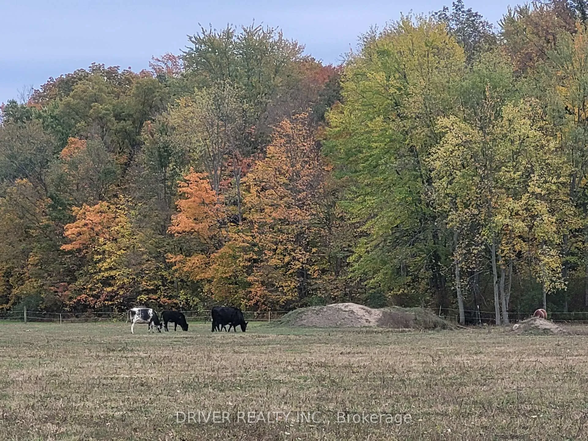 Photo 12 of 1726 4th CONCESSION Road, Norfolk, St. Williams — HOMEH