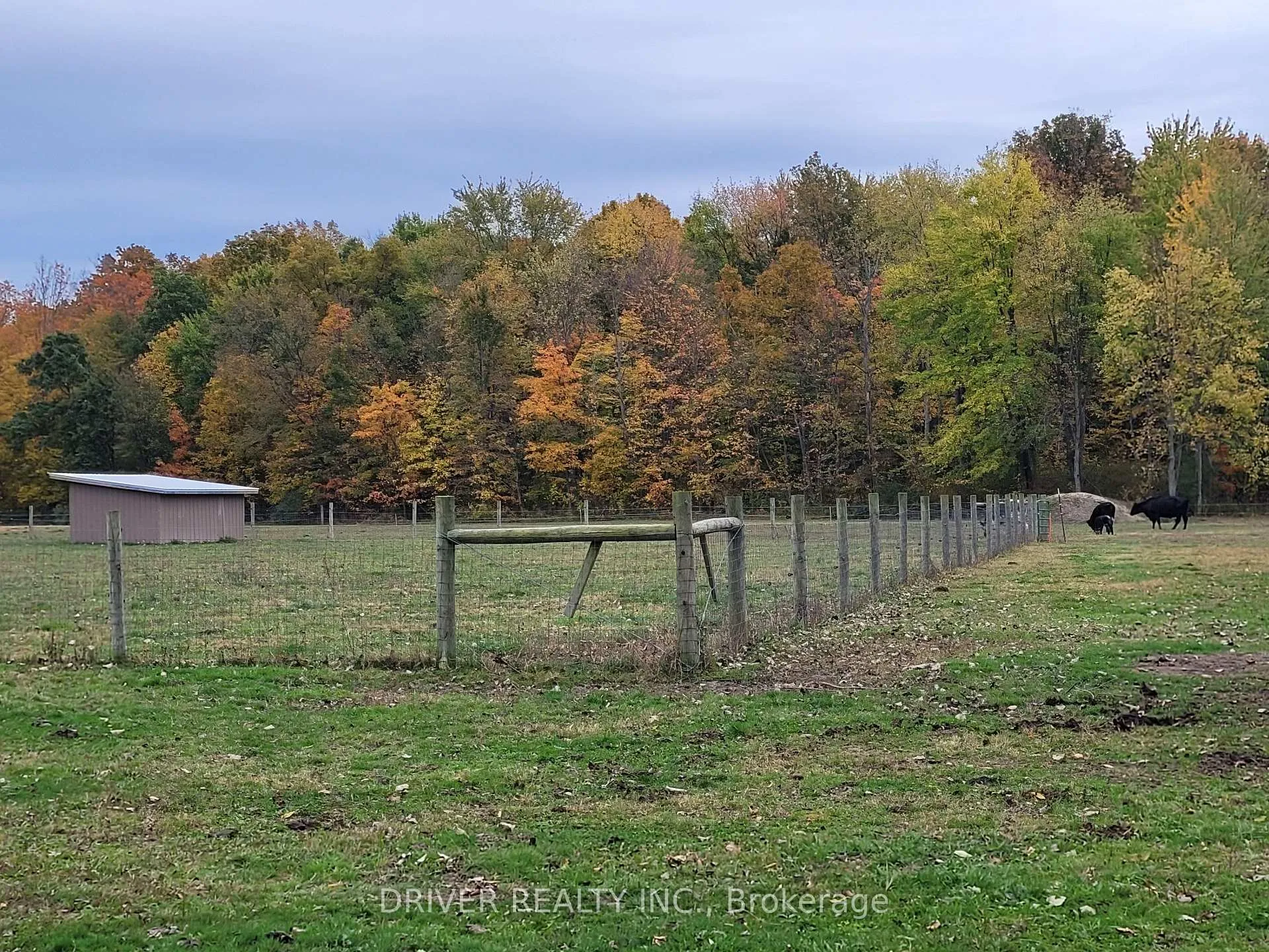 Photo 13 of 1726 4th CONCESSION Road, Norfolk, St. Williams — HOMEH