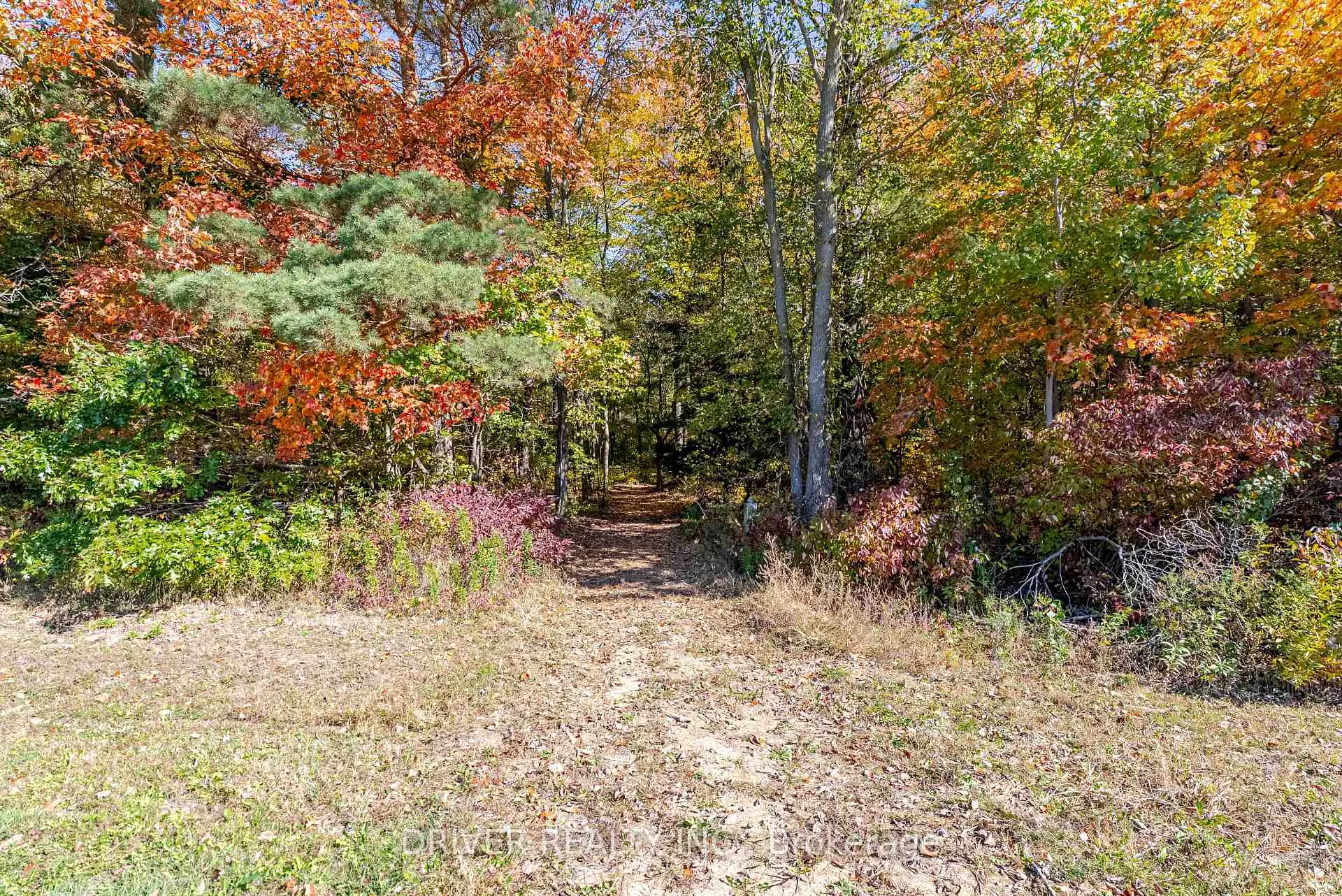 Photo 16 of 1726 4th CONCESSION Road, Norfolk, St. Williams — HOMEH