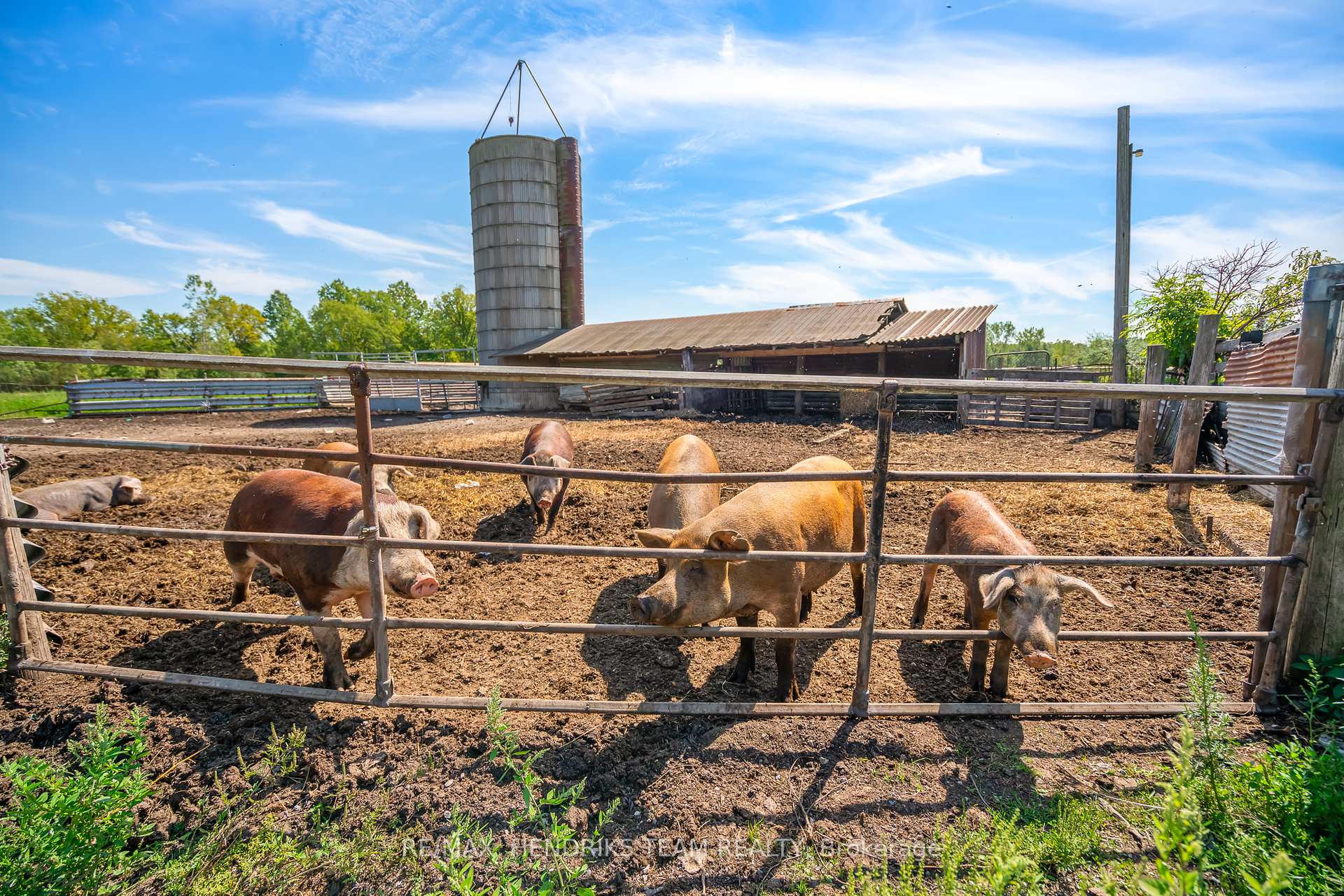 Photo 15 of 9850 Carl Road, Niagara Falls, Schisler — HOMEH