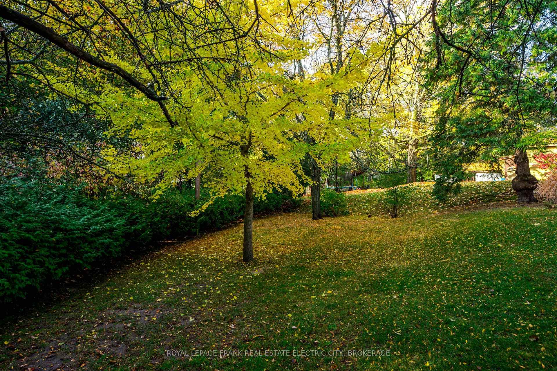 Photo 39 of 8 Ferndale Avenue, Peterborough, Monaghan Ward 2 — HOMEH