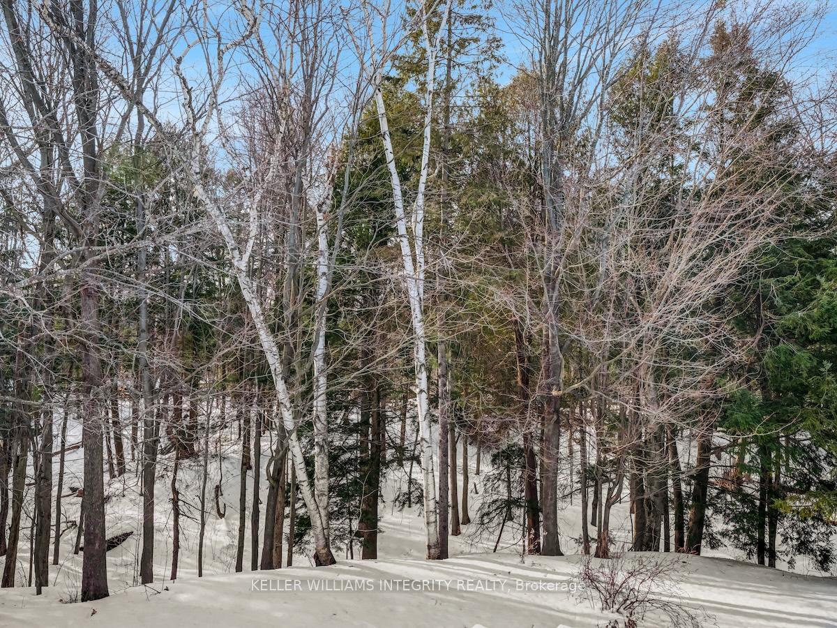 Photo 36 of 1666 Des Broussailles Terrace, Ottawa, Chapel Hill — HOMEH