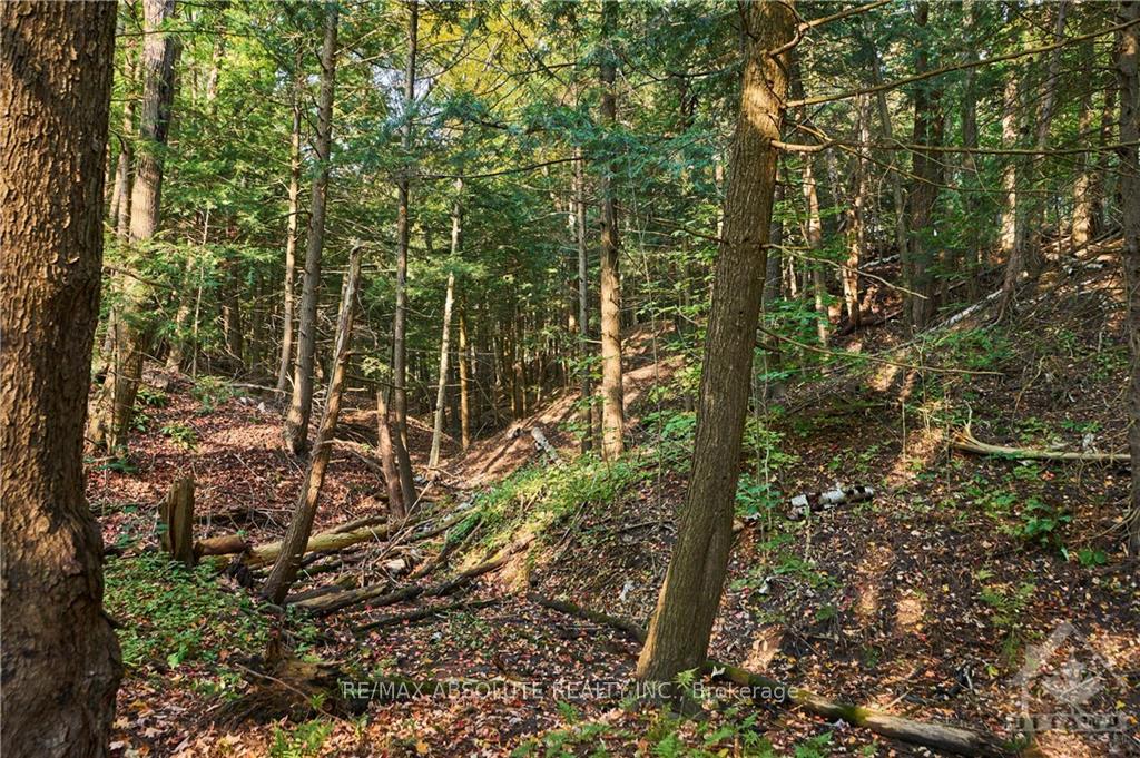 Photo 28 of 1505 Forest Valley Drive, Ottawa, Chapel Hill — HOMEH
