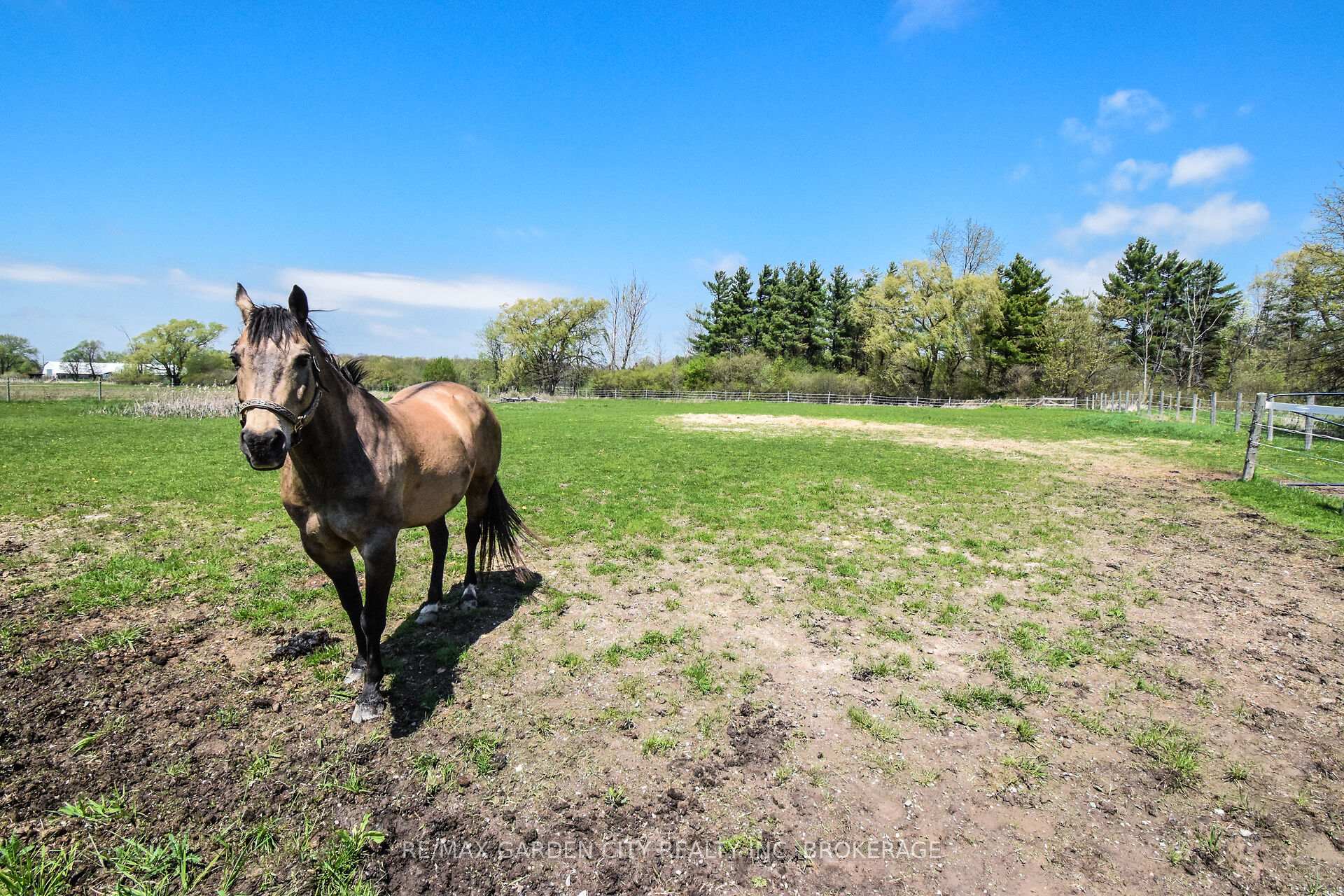 Photo 8 of 6467 Sauer Road, Niagara Falls, Lyons Creek — HOMEH
