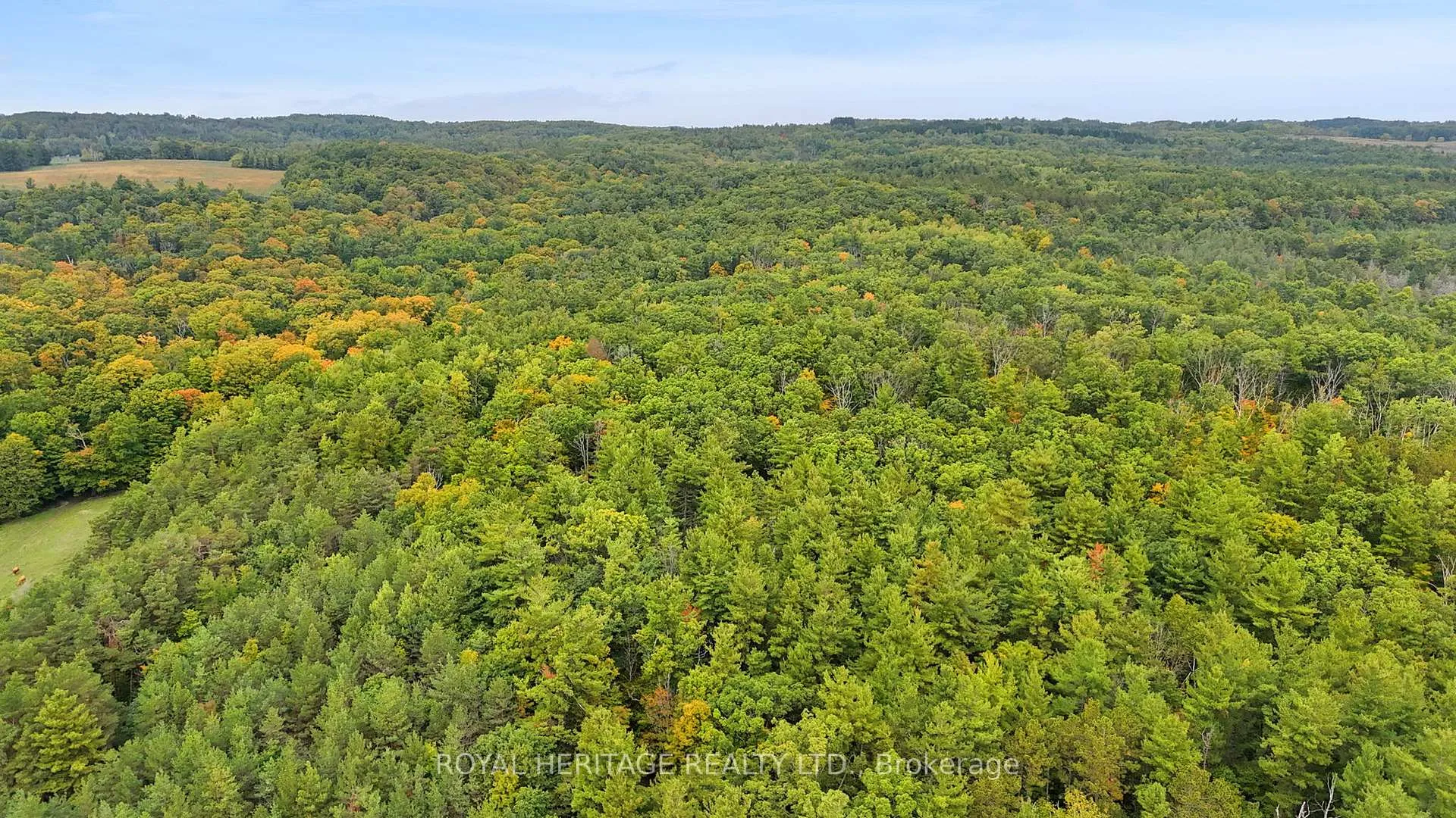 Photo 10 of 9672 Walker Road, Port Hope, Rural Port Hope — HOMEH
