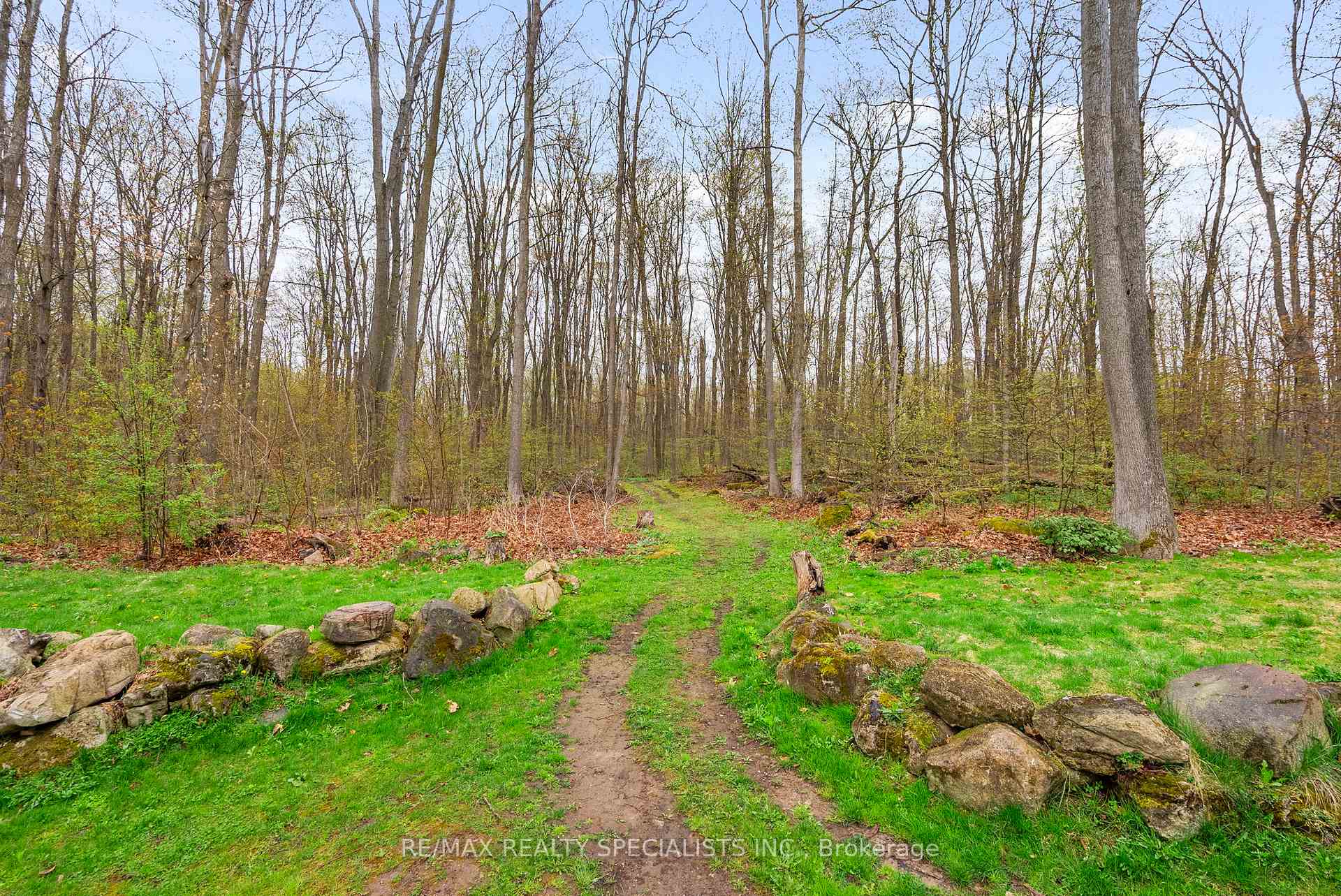 Photo 44 of 3124 Limestone Road, Milton, Rural Milton West — HOMEH