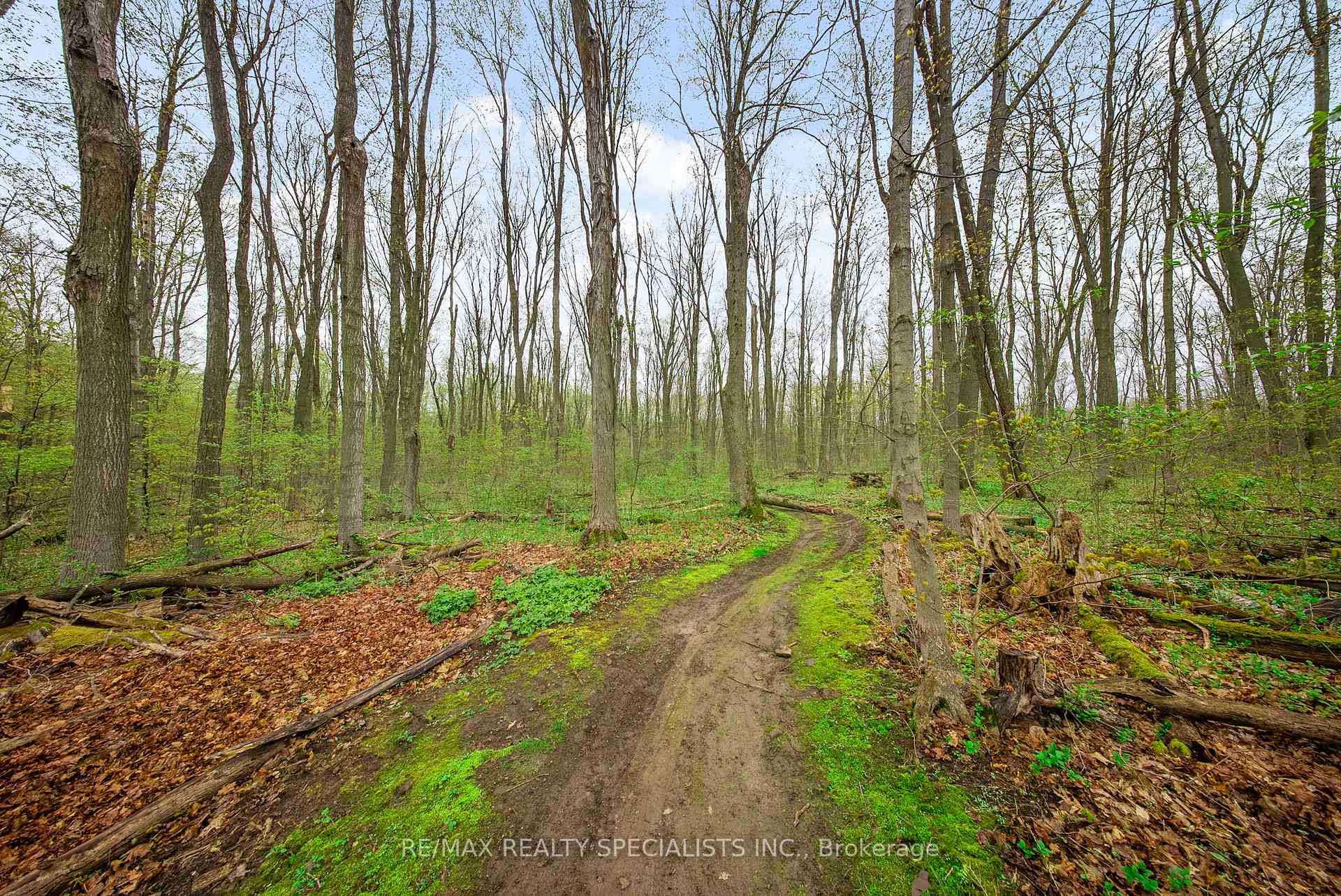 Photo 46 of 3124 Limestone Road, Milton, Rural Milton West — HOMEH