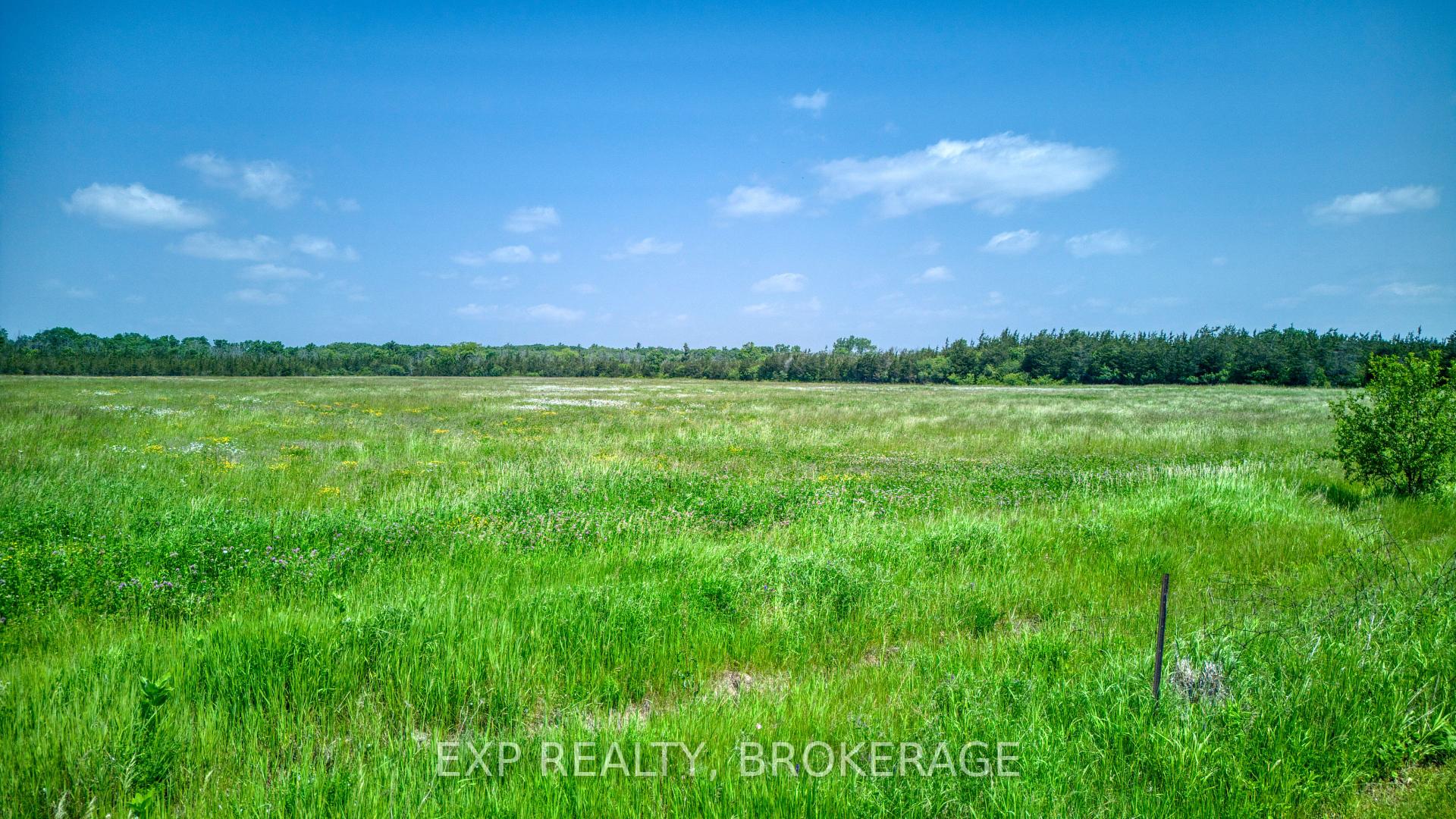 Photo 45 of 121 Ivy Ridge Road, Prince Edward County, Ameliasburg Ward — HOMEH