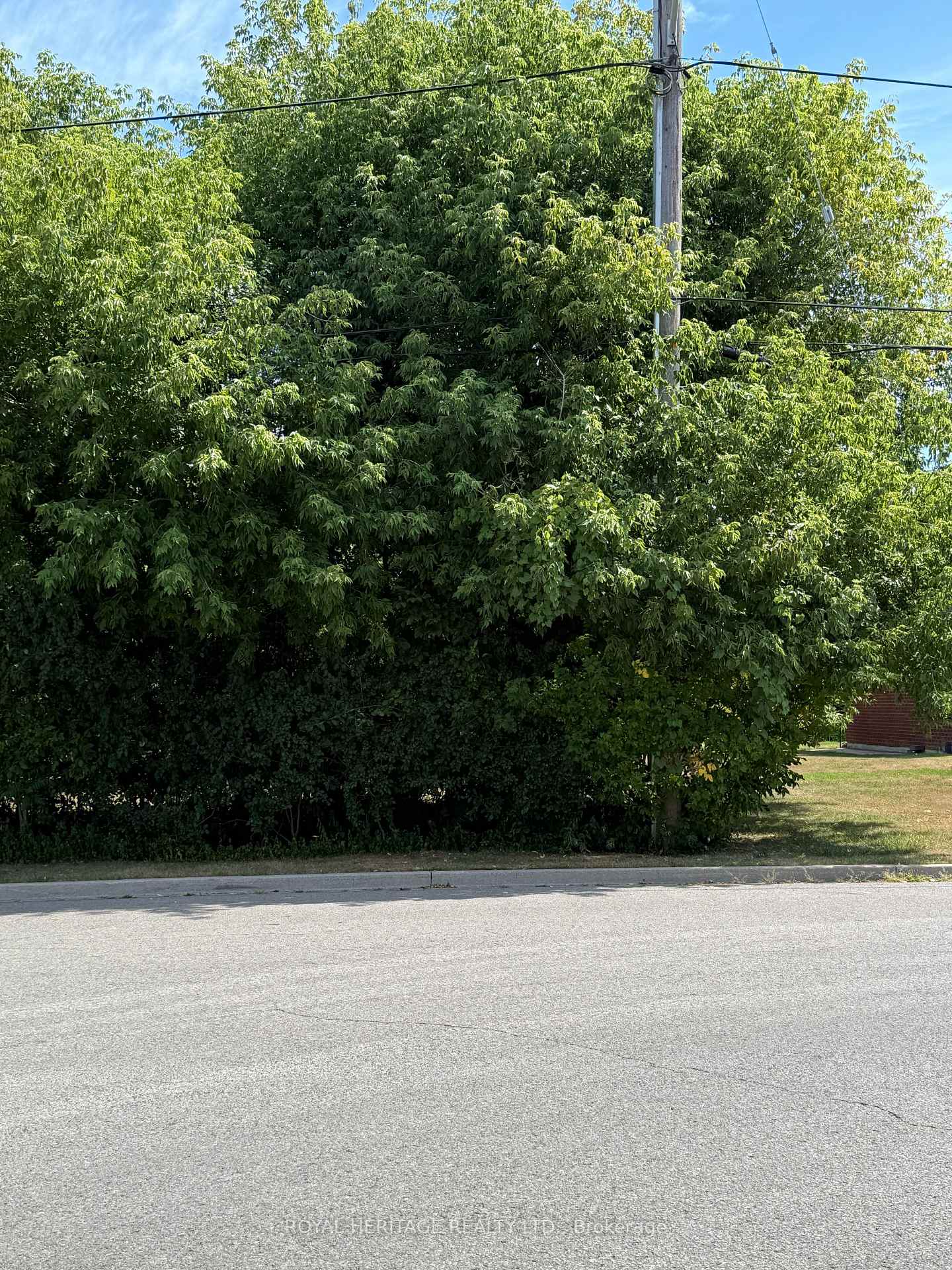 Photo 2 of 1839 (Part 1) Pine Grove Avenue, Pickering, Highbush — HOMEH